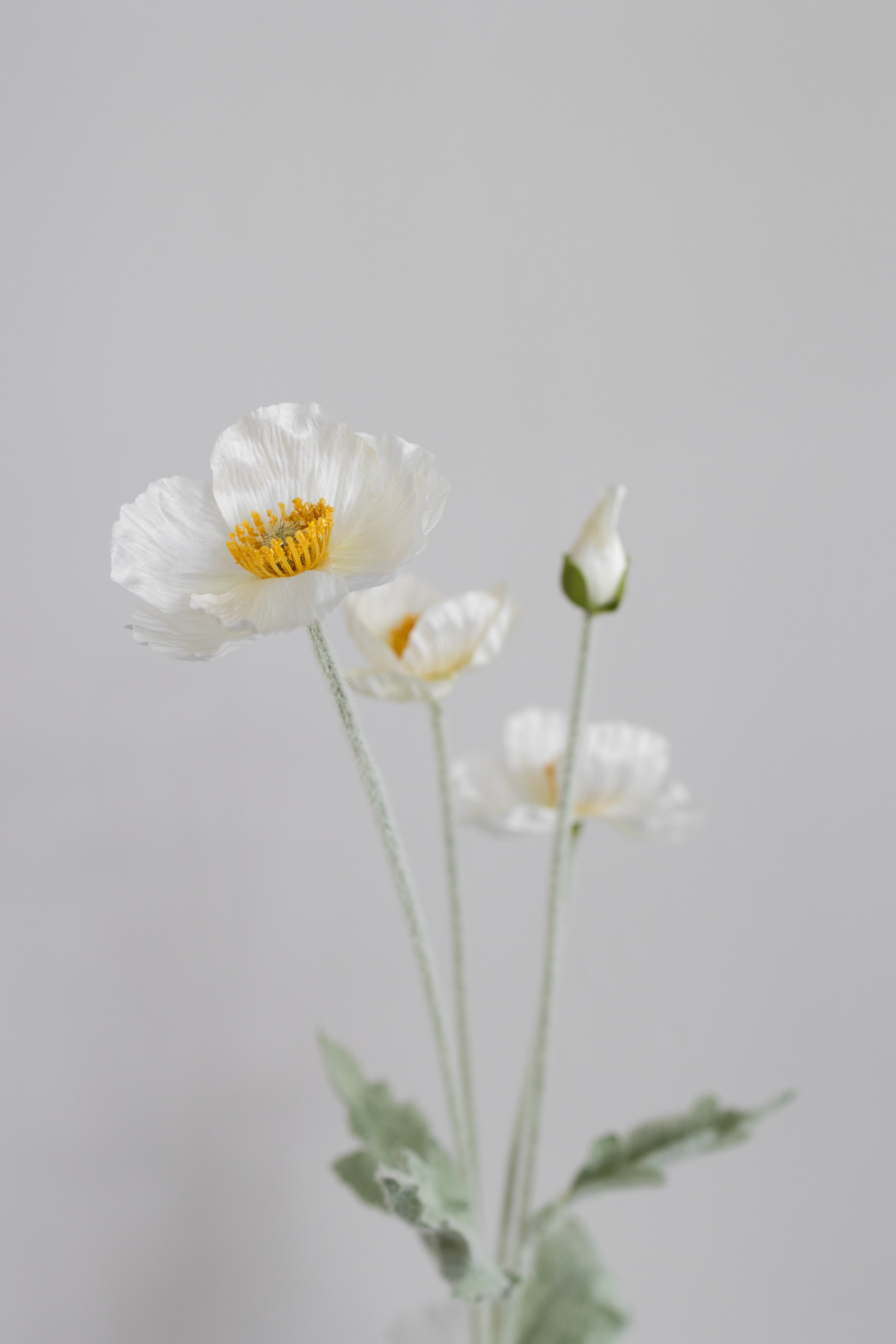 Kunstig Creme Valmue