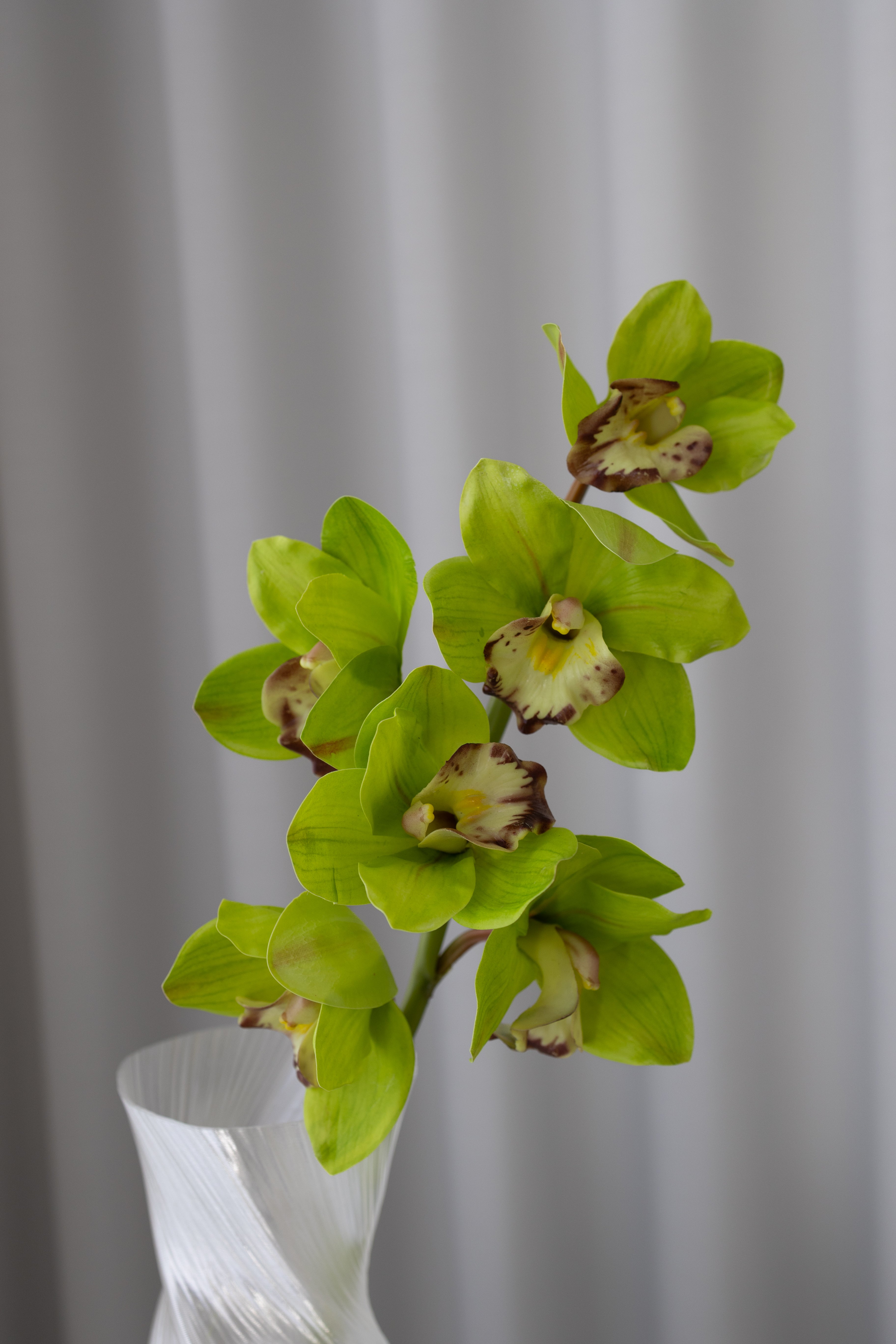 Artificial Lifelike Cymbidium 6 Heads Green