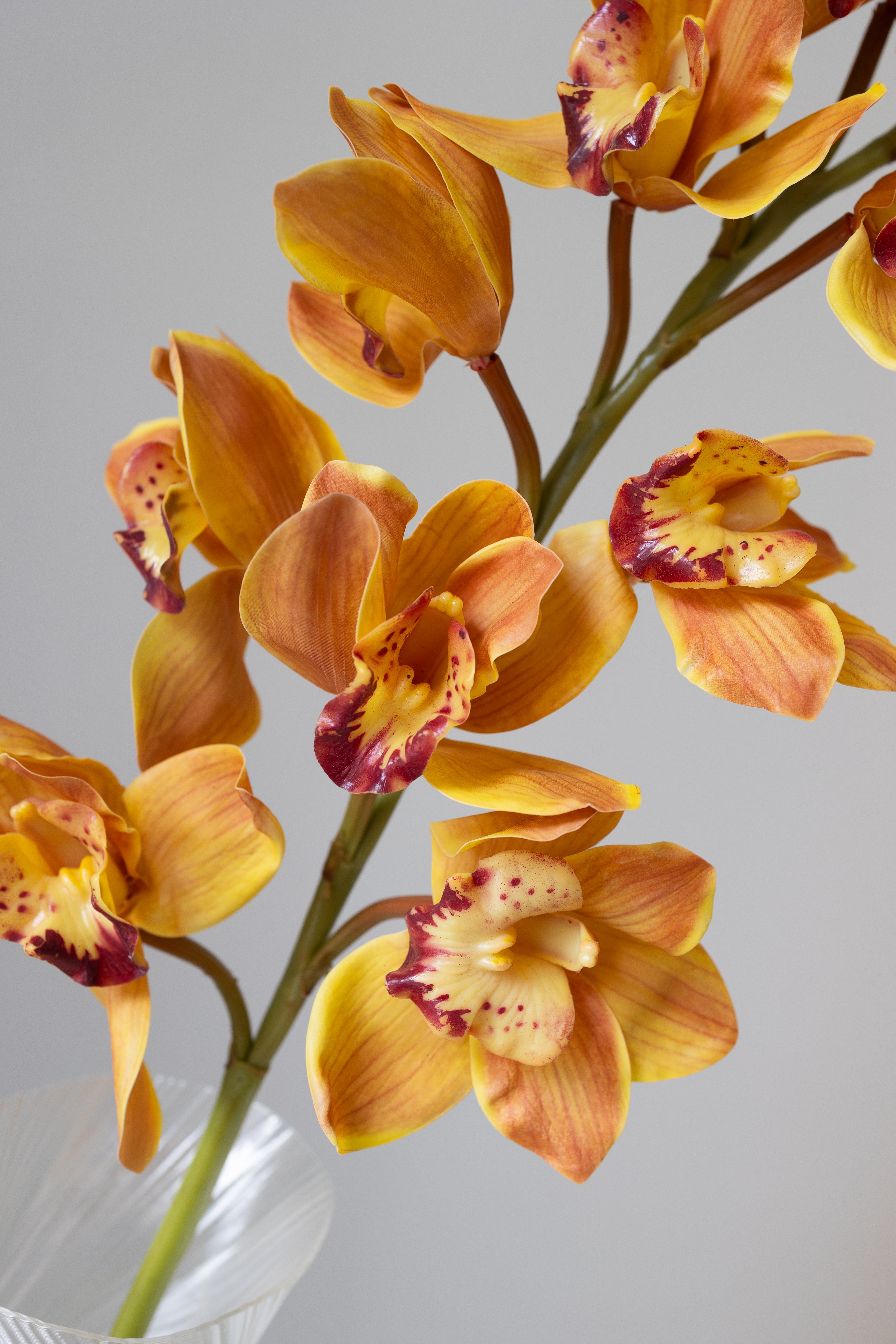 Artificial Lifelike Cymbidium Orange