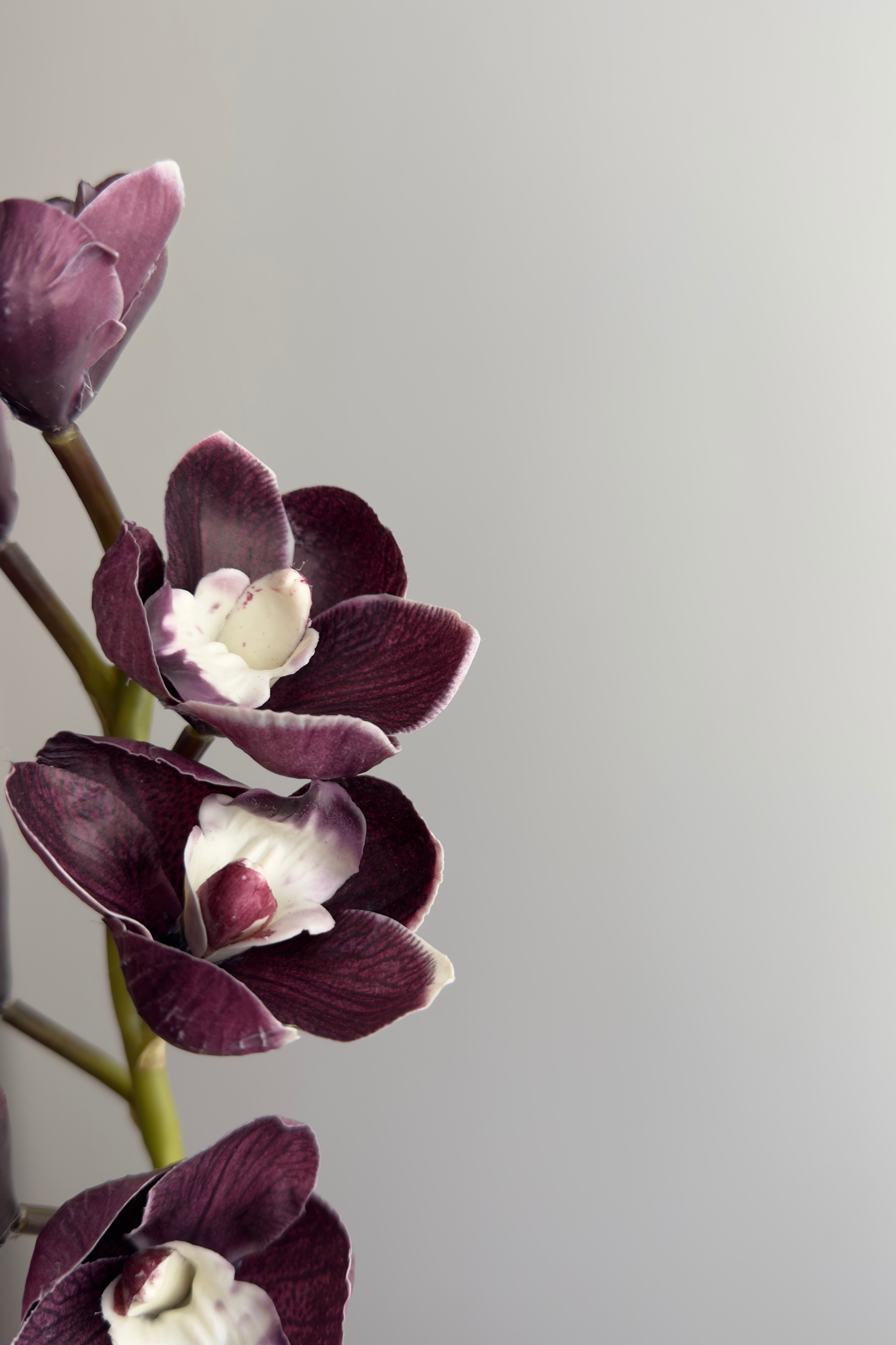 Kunstig Naturtro Cymbidium 7 hovedet - Mørke Lilla