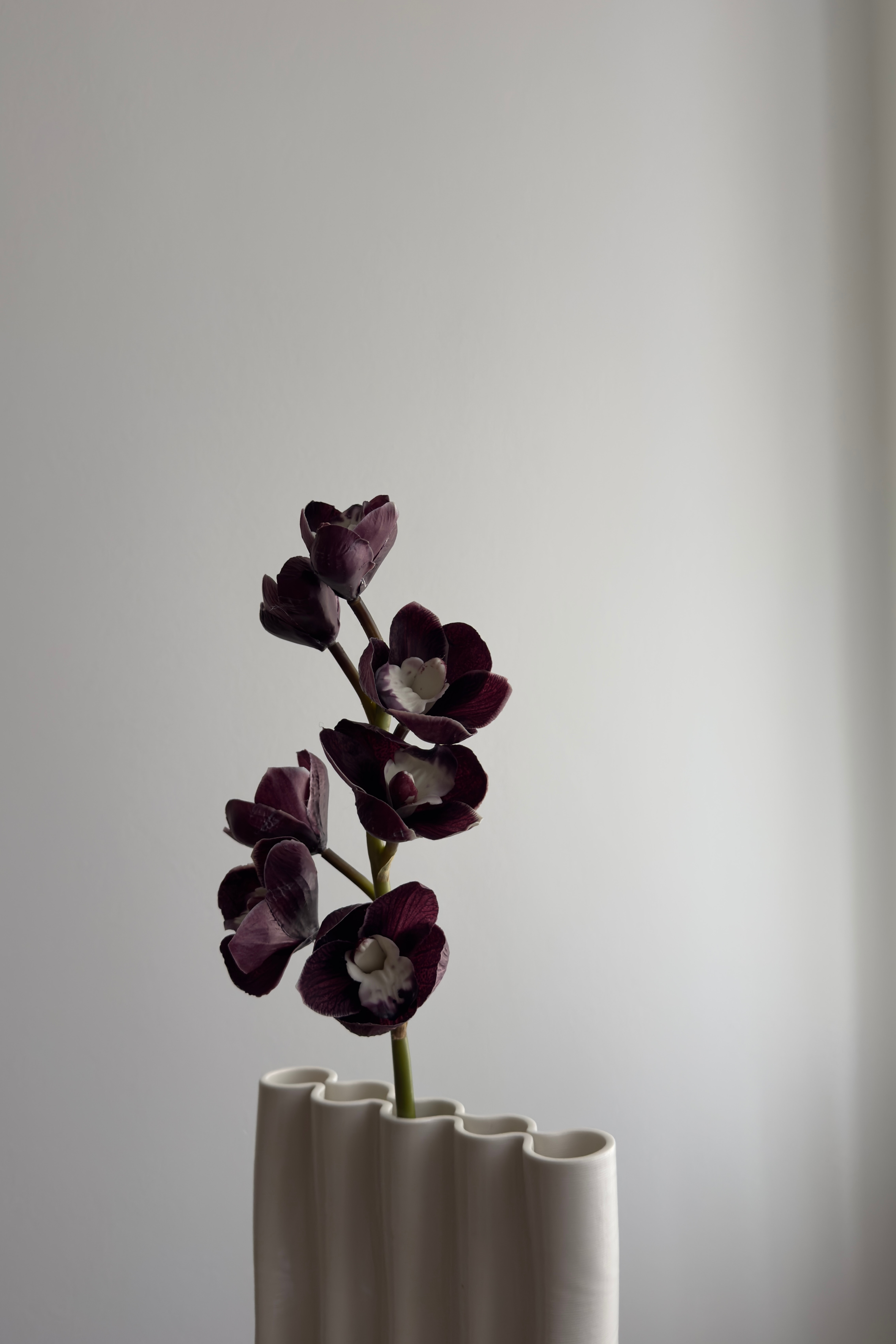 Kunstig Naturtro Cymbidium 7 hovedet - Mørke Lilla