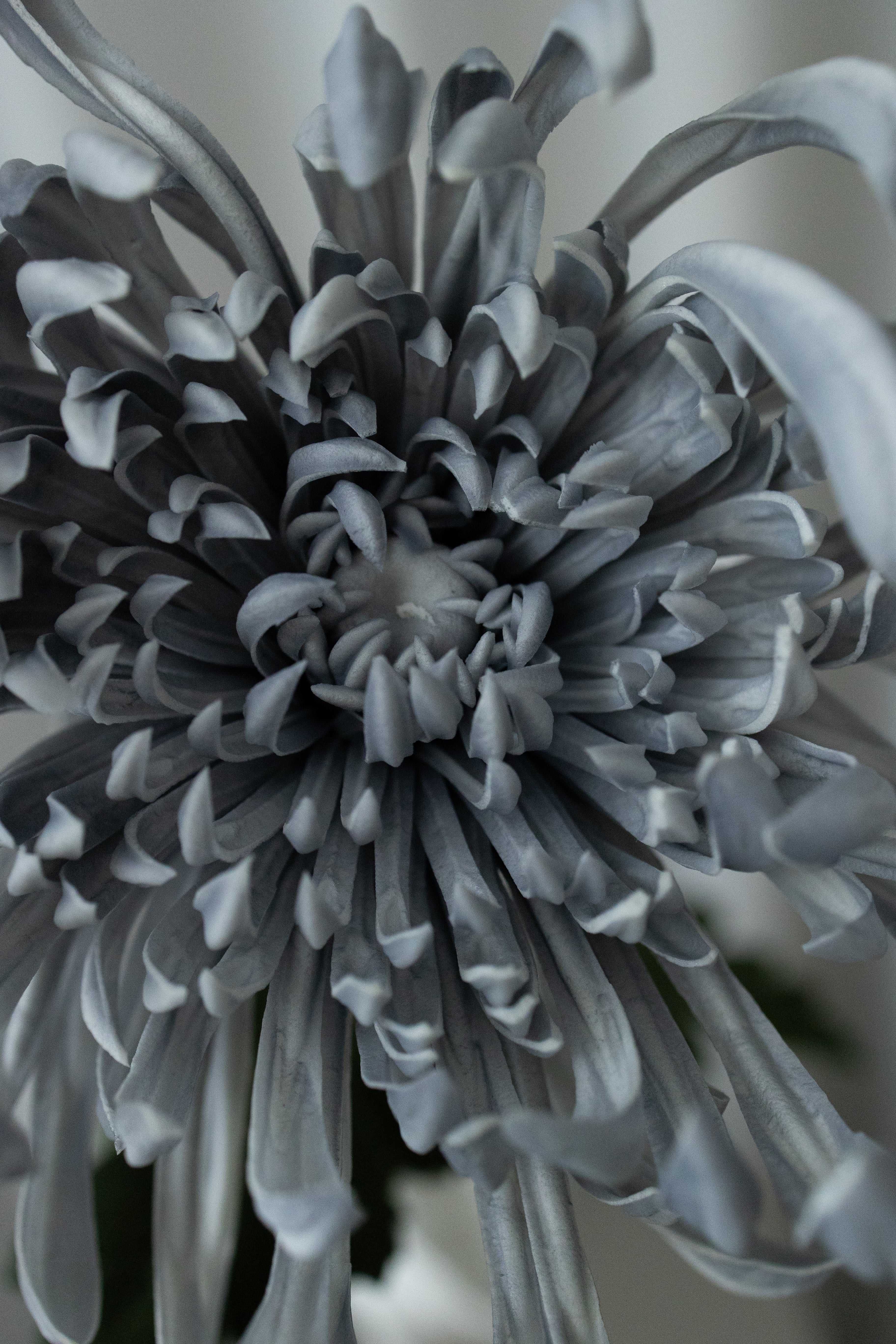 Artificial Lifelike Chrysanthemum - Grey