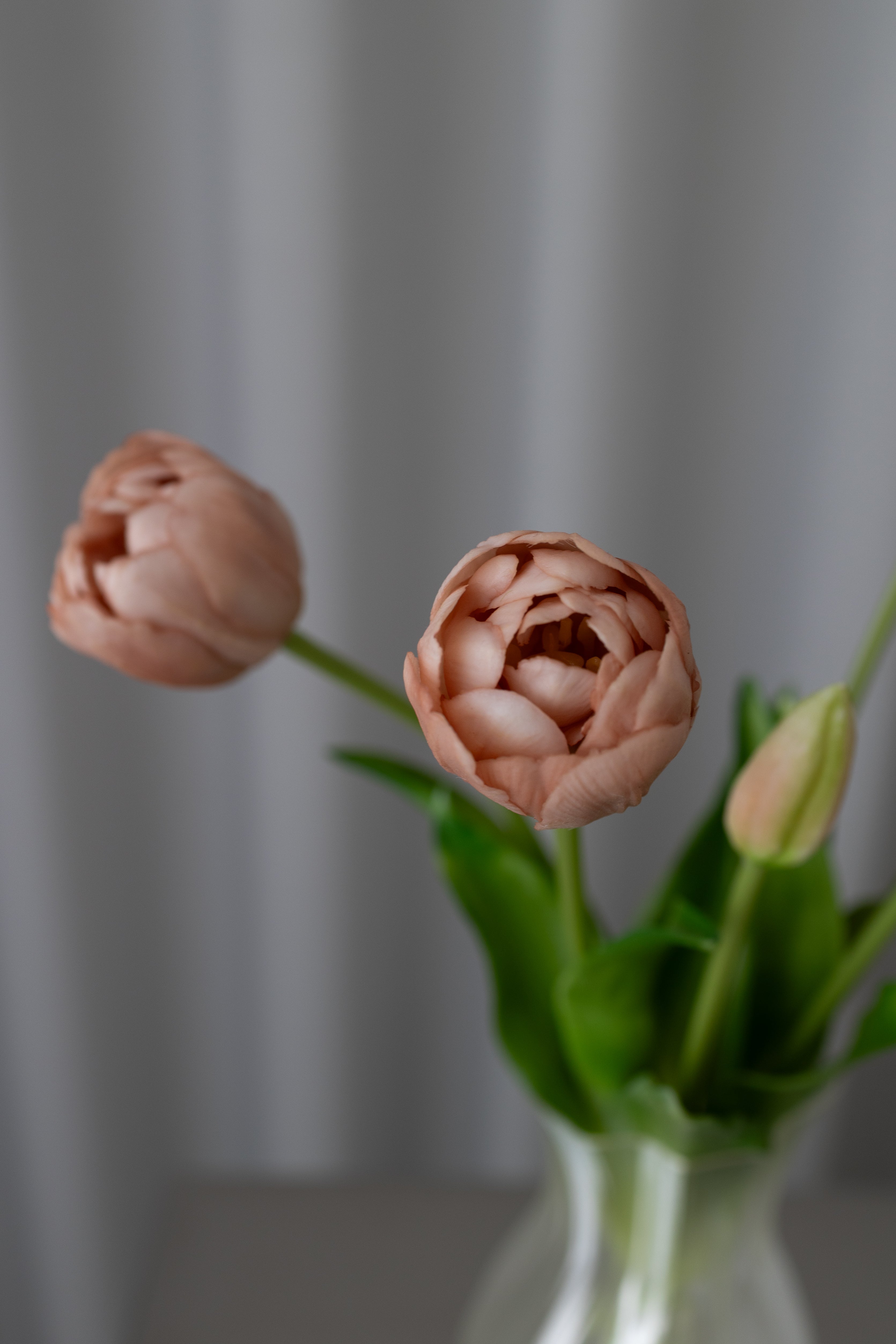 Artificial Layered Tulips - Beige