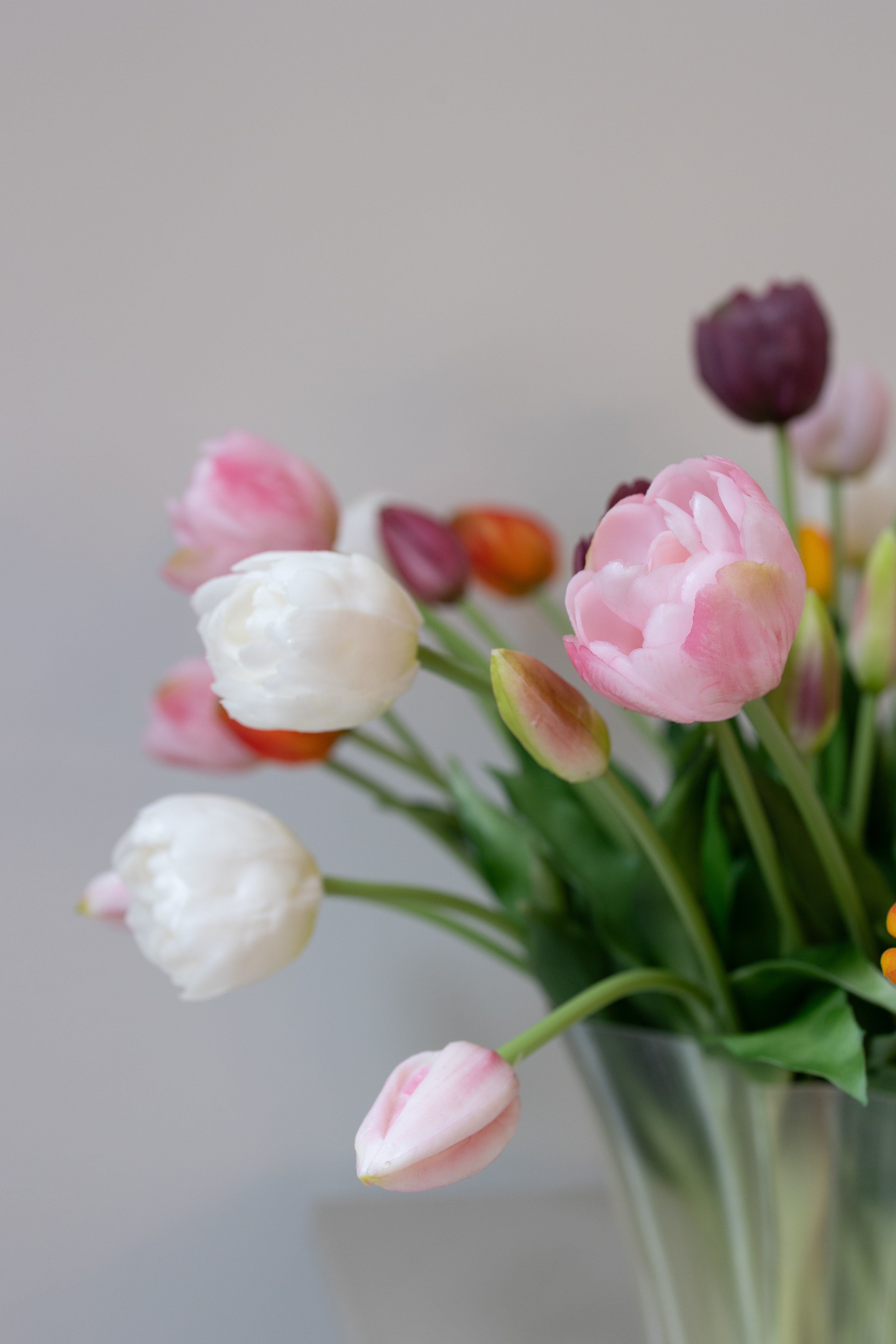 Mixed Tulip Bouquet