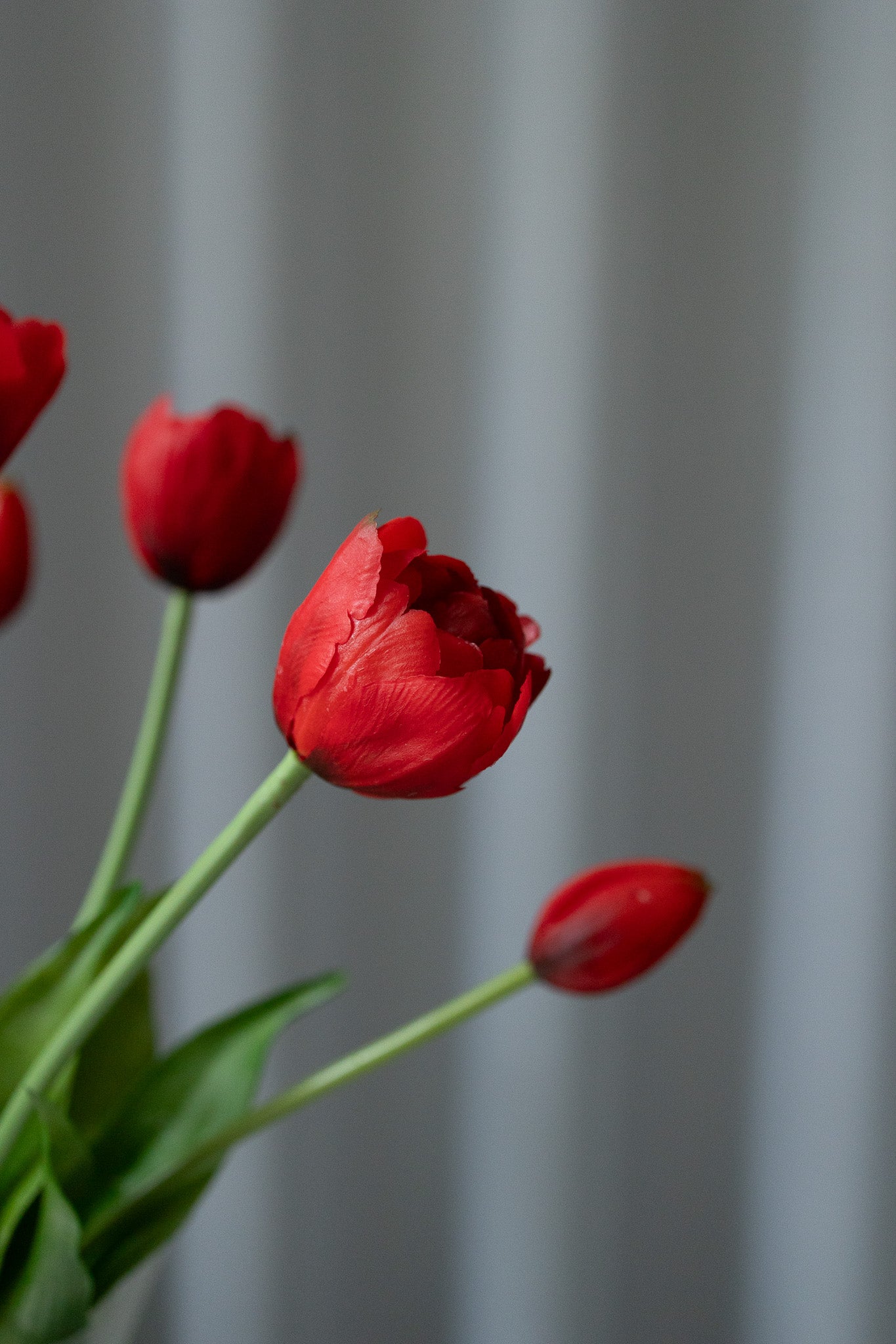 Limited Valentine's Bouquet 05