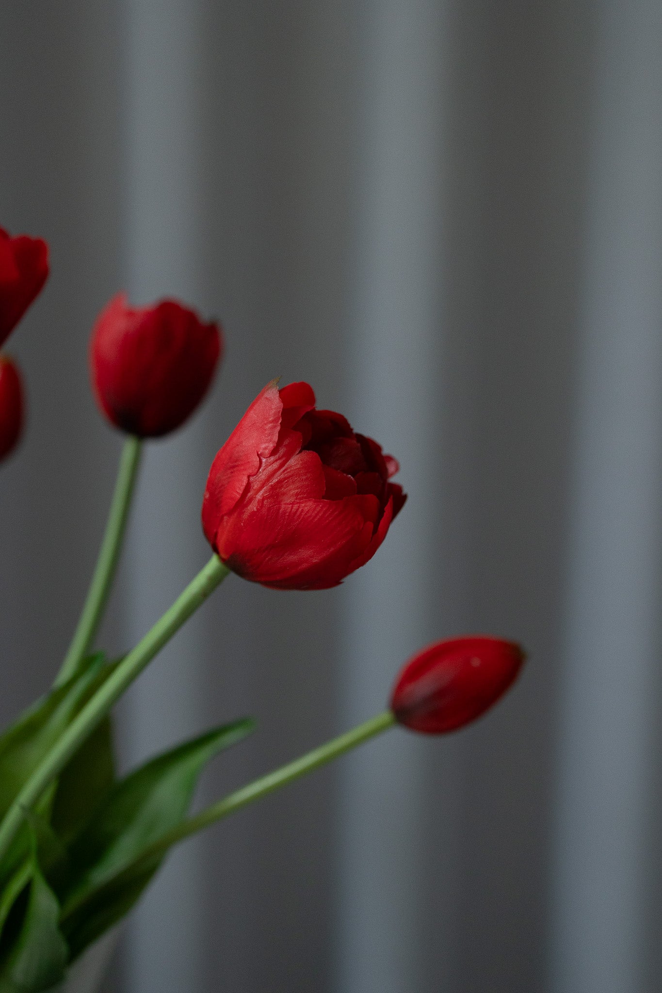 Limited Valentine's Bouquet 04