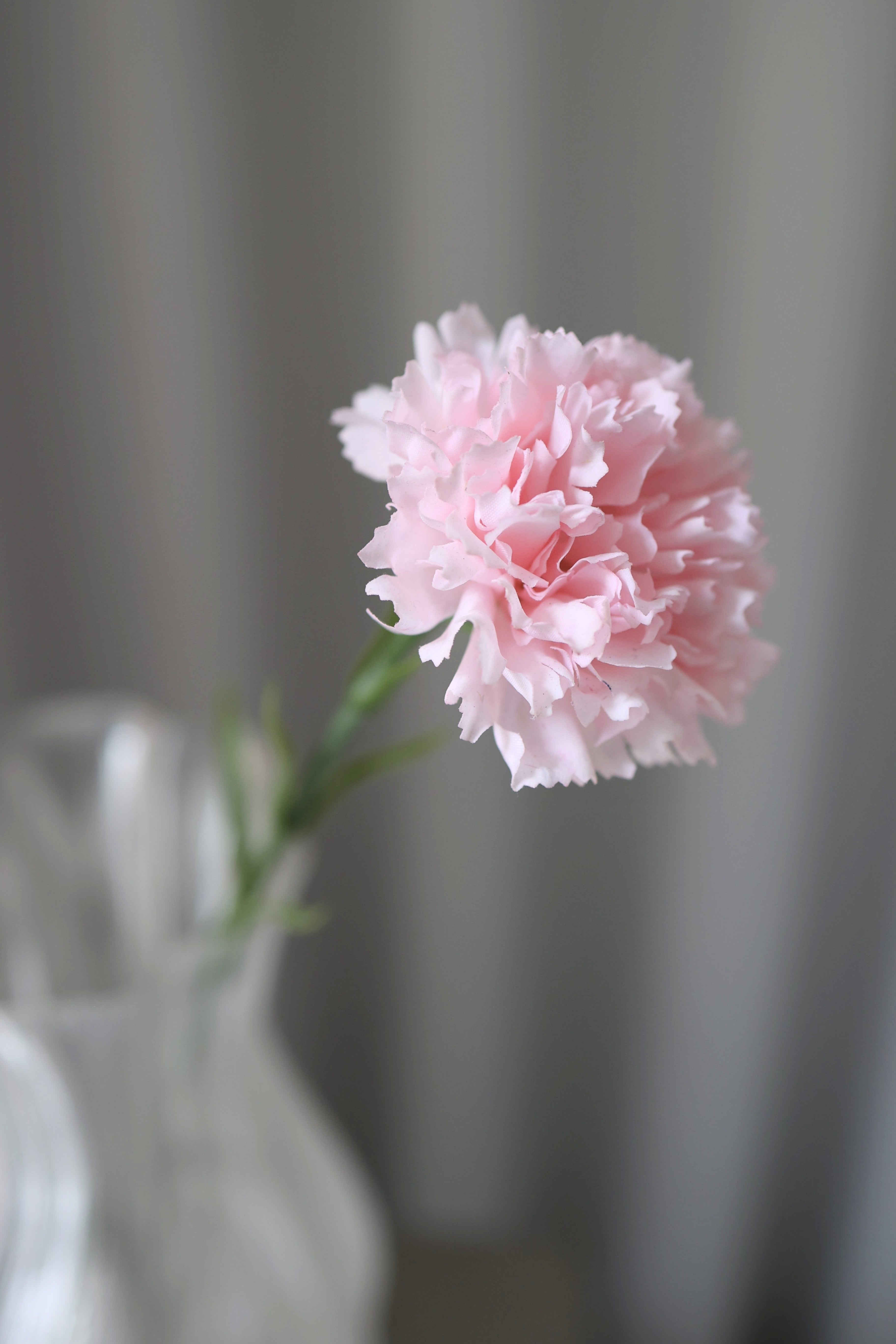 Artificial Carnation - Pink