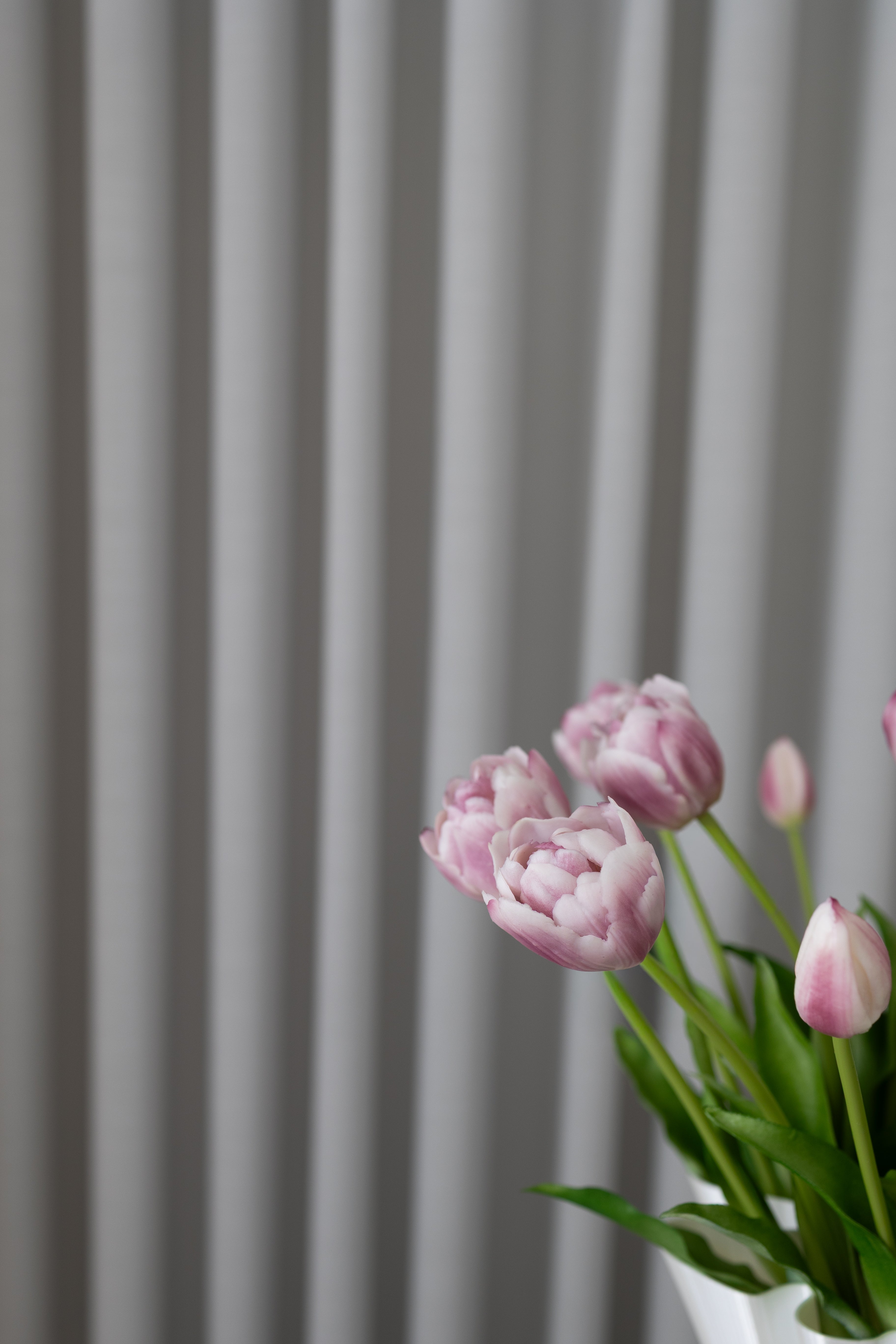 Purple Tulips Bouquet - 3 Bundles