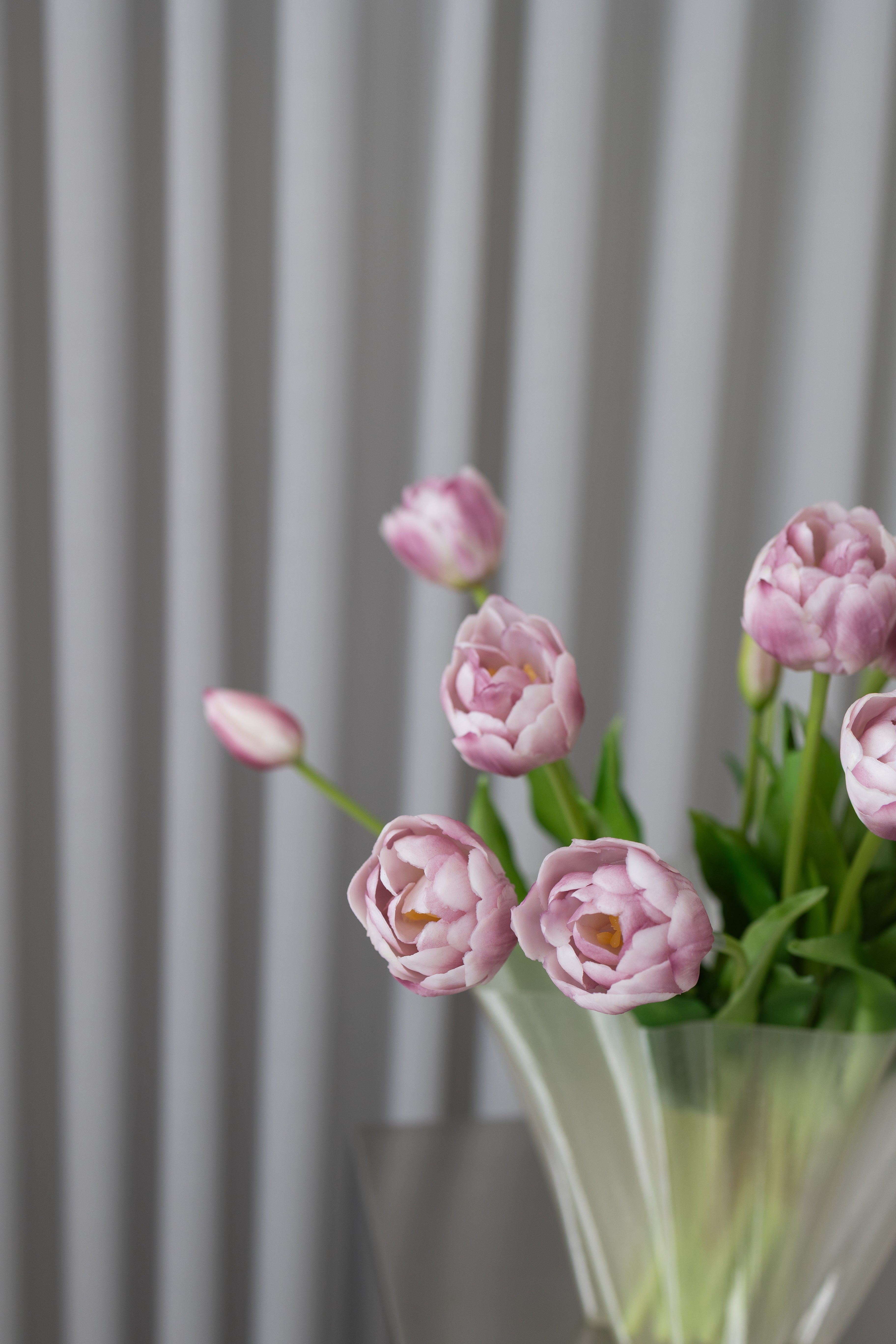 Purple Tulips Bouquet - 4 Bundles