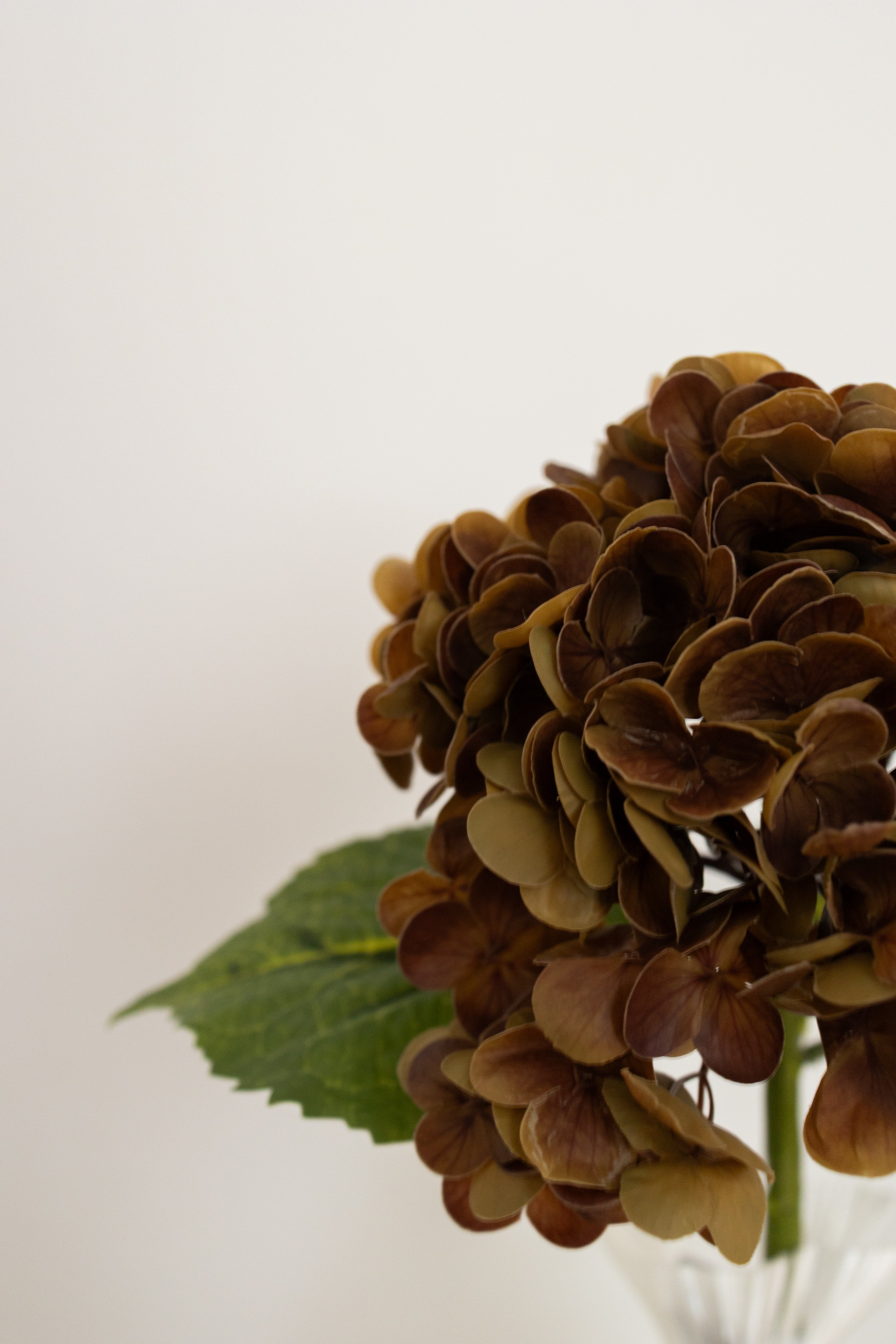 Artificial Hydrangea - Dusty Brown