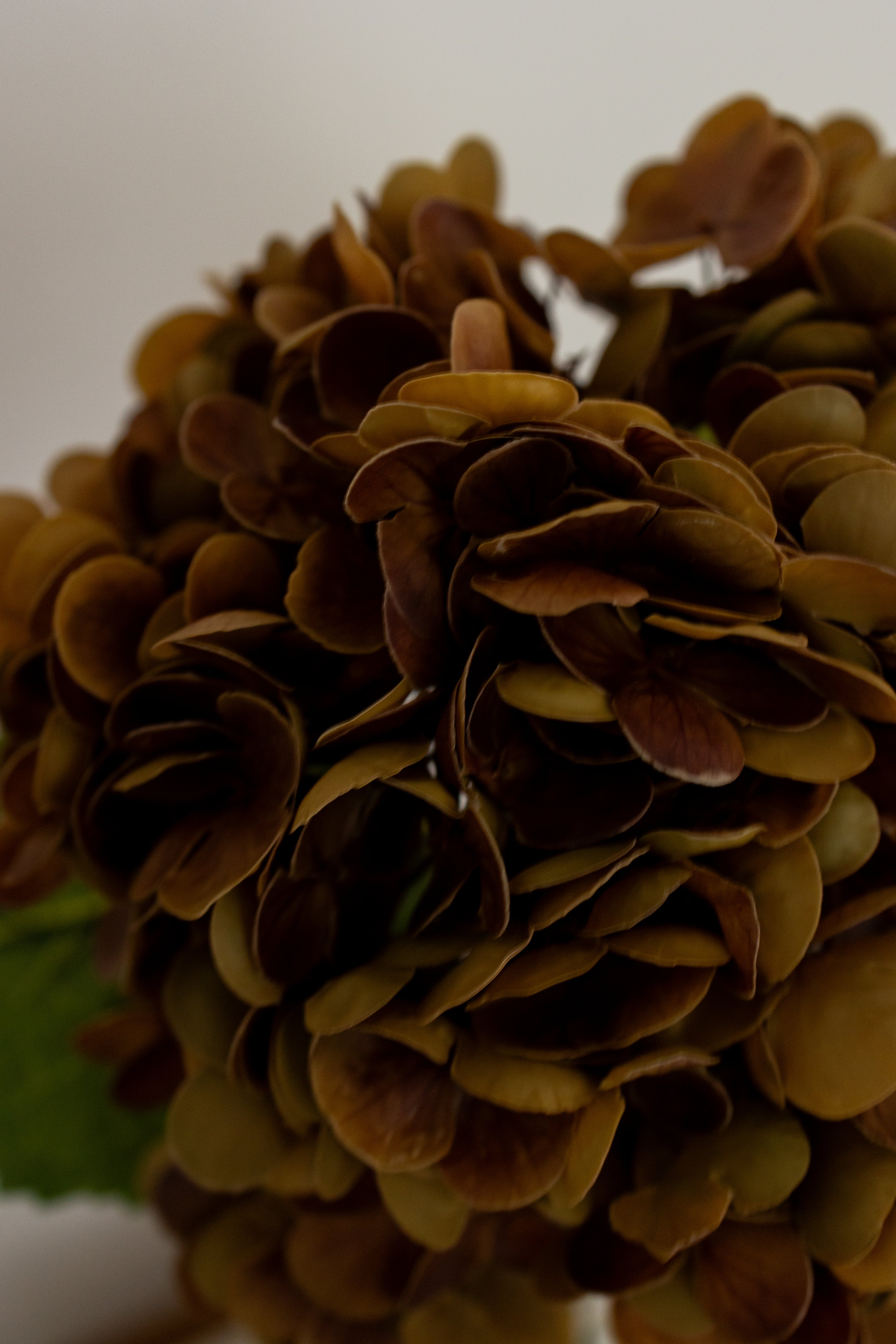 Artificial Hydrangea - Dusty Brown