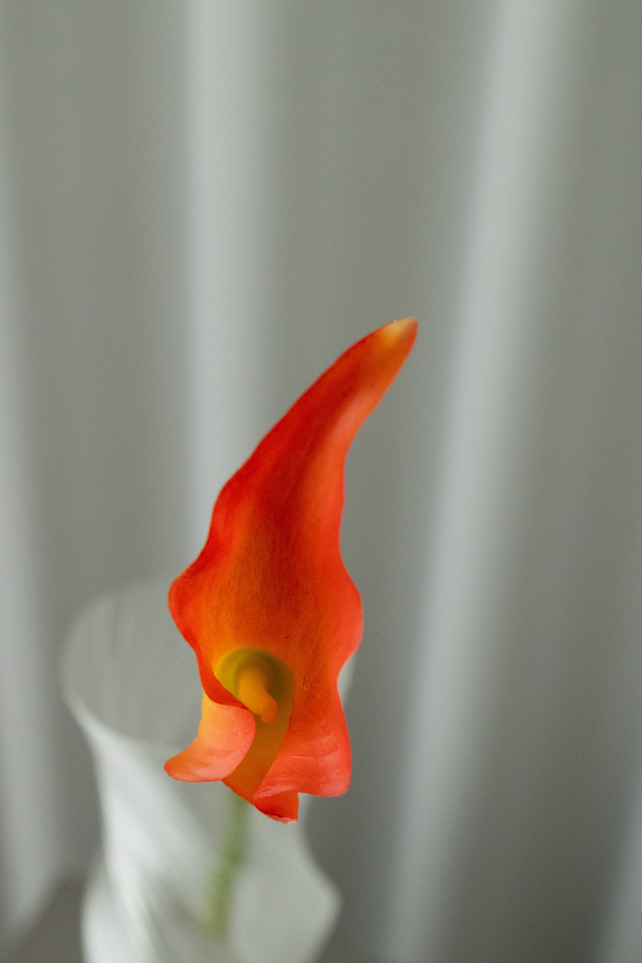 KUNSTIG NATURTRO CALLA LILJE - ORANGE