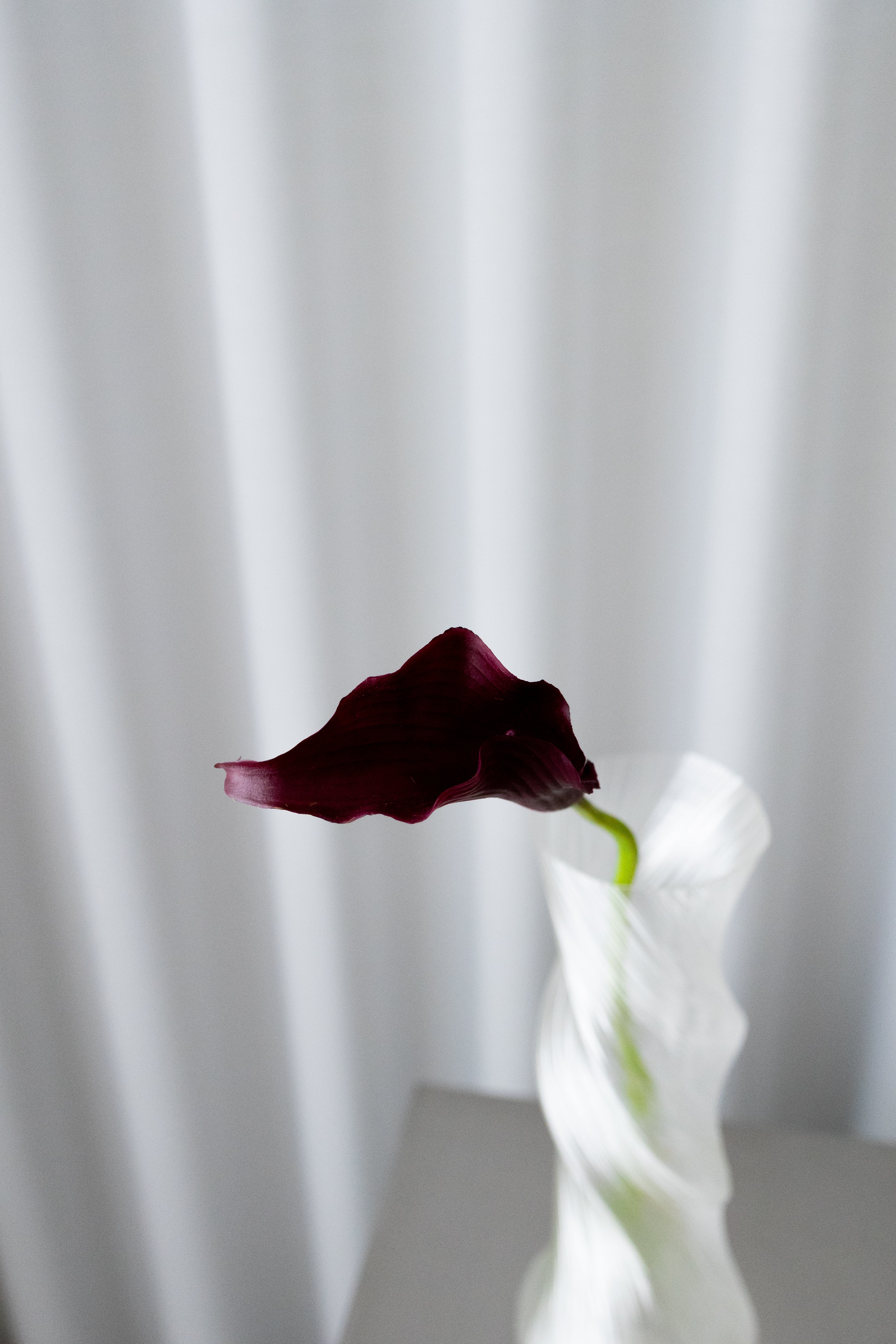 Artificial Lifelike Calla Lily - Bordeaux