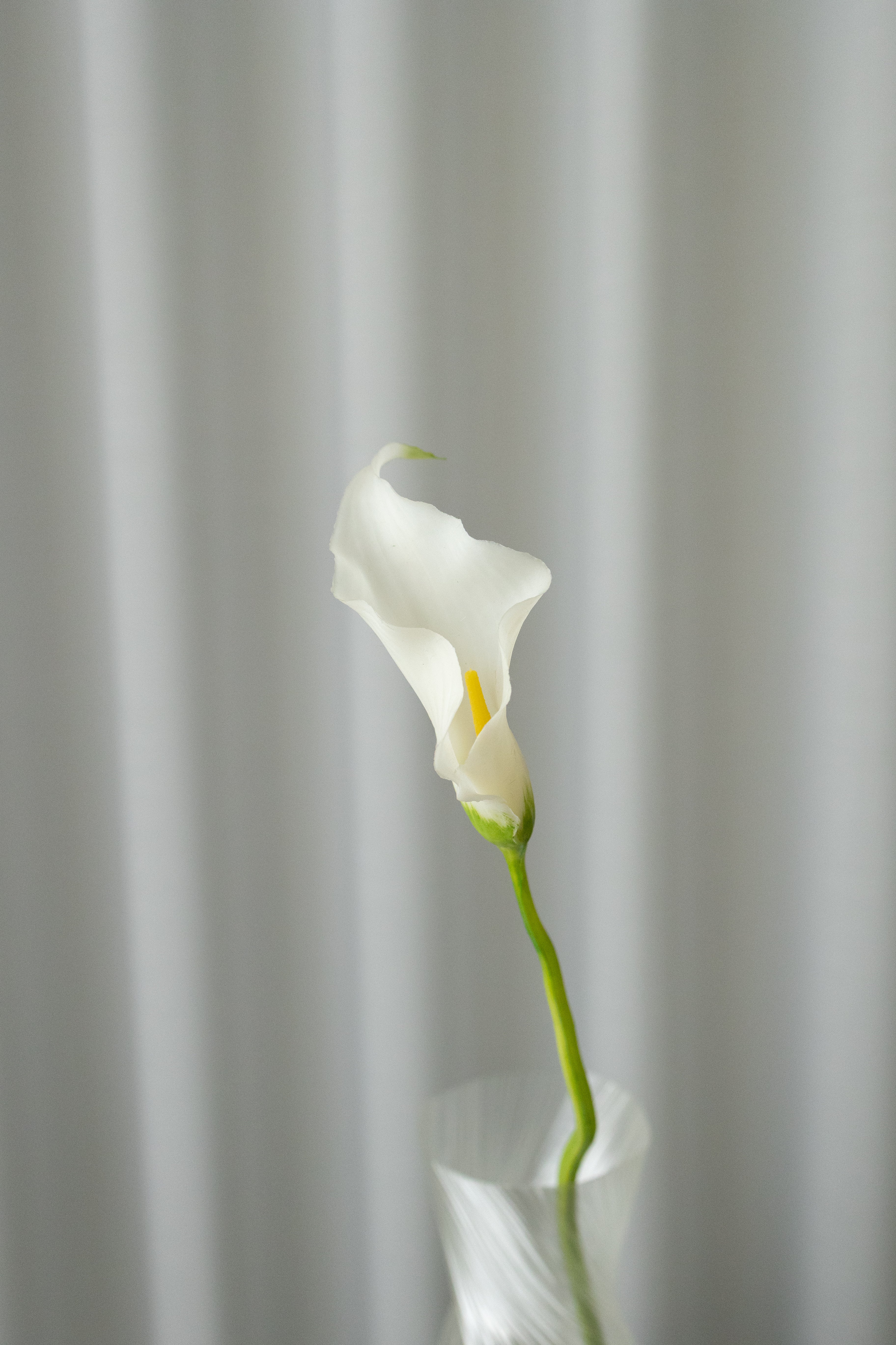 Artificial Lifelike Calla Lily - White