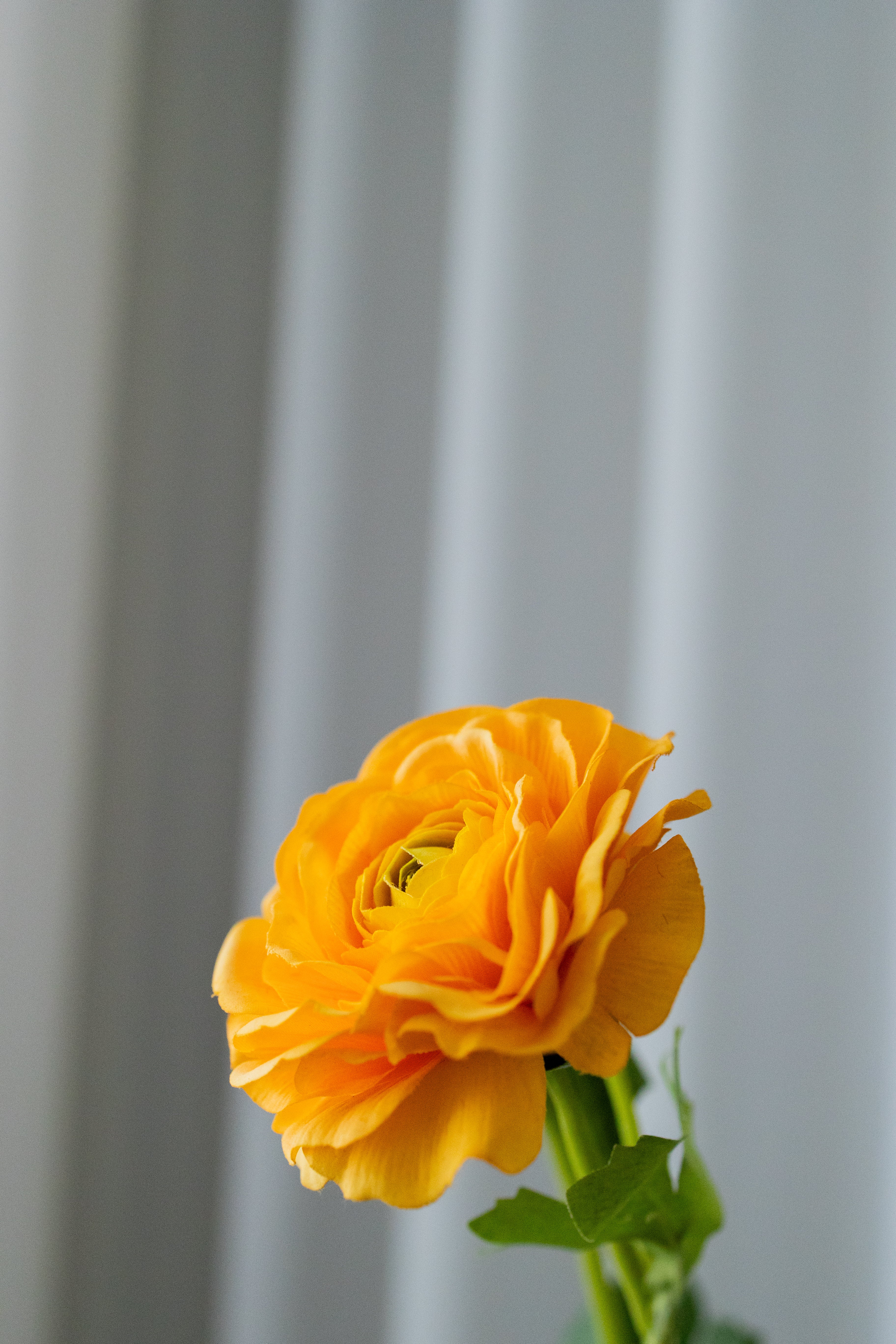 KUNSTIG RANUNKEL - ORANGE