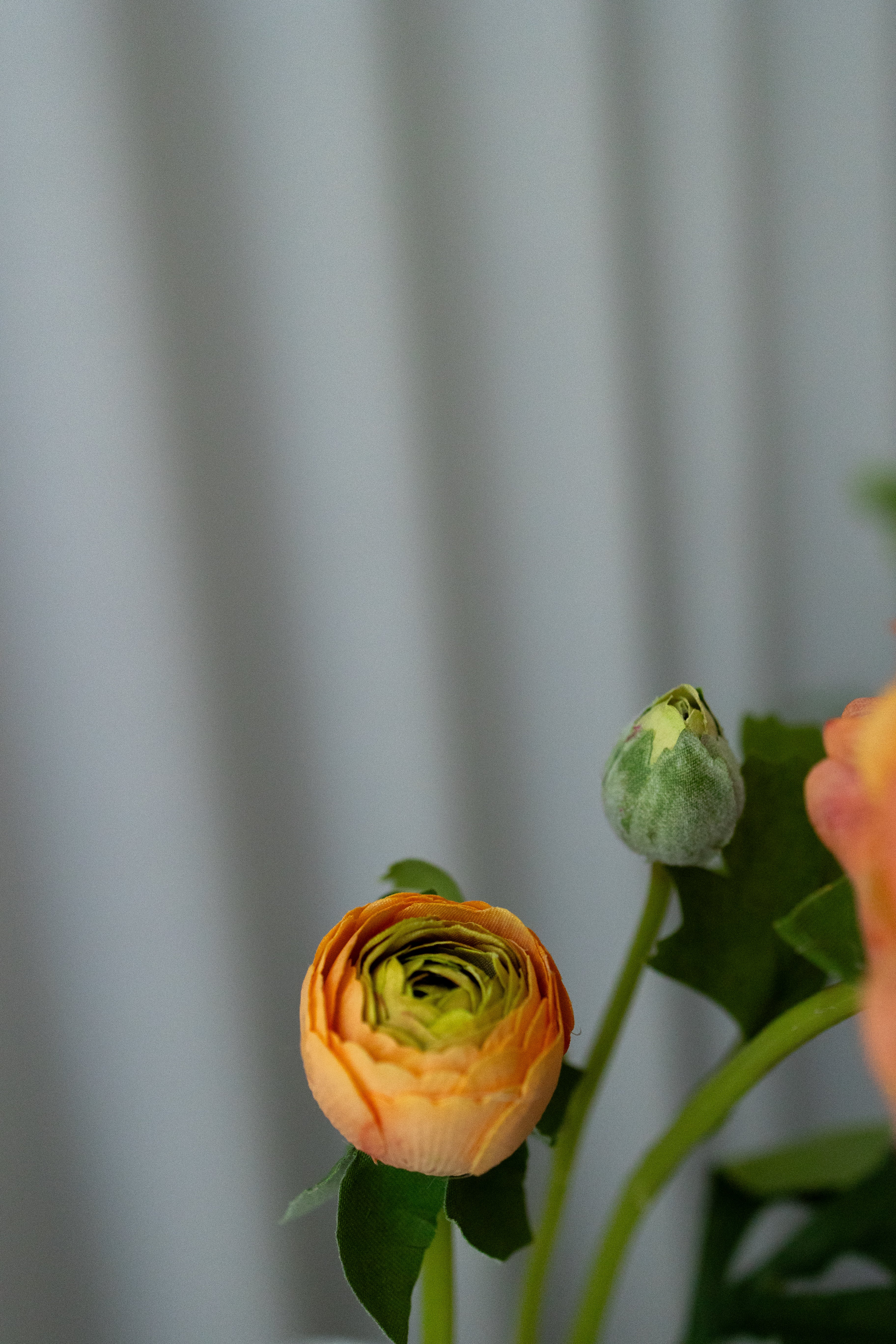 Artificial Ranunculus Flowers - Orange