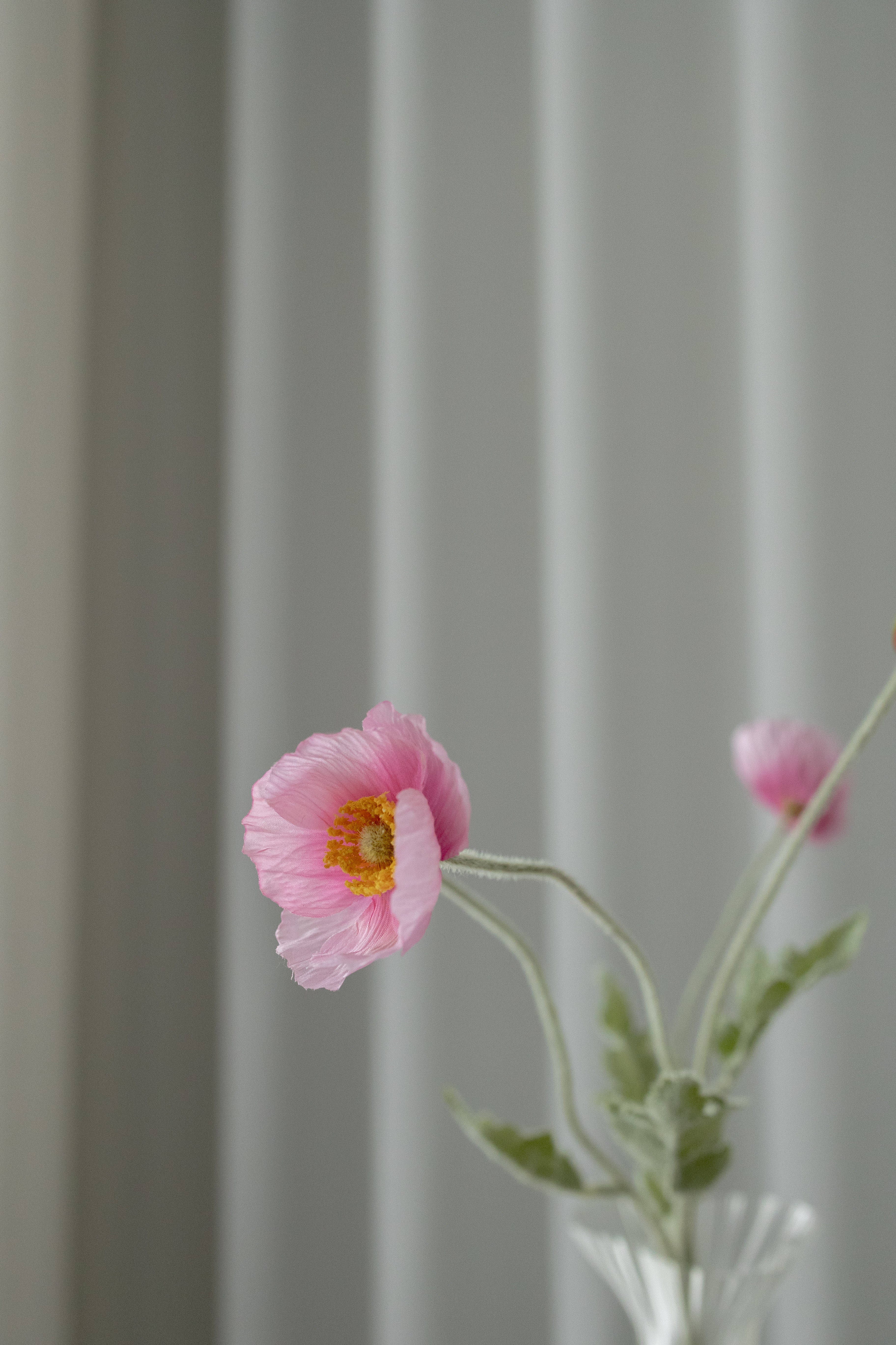 KUNSTIG VALMUE - PINK