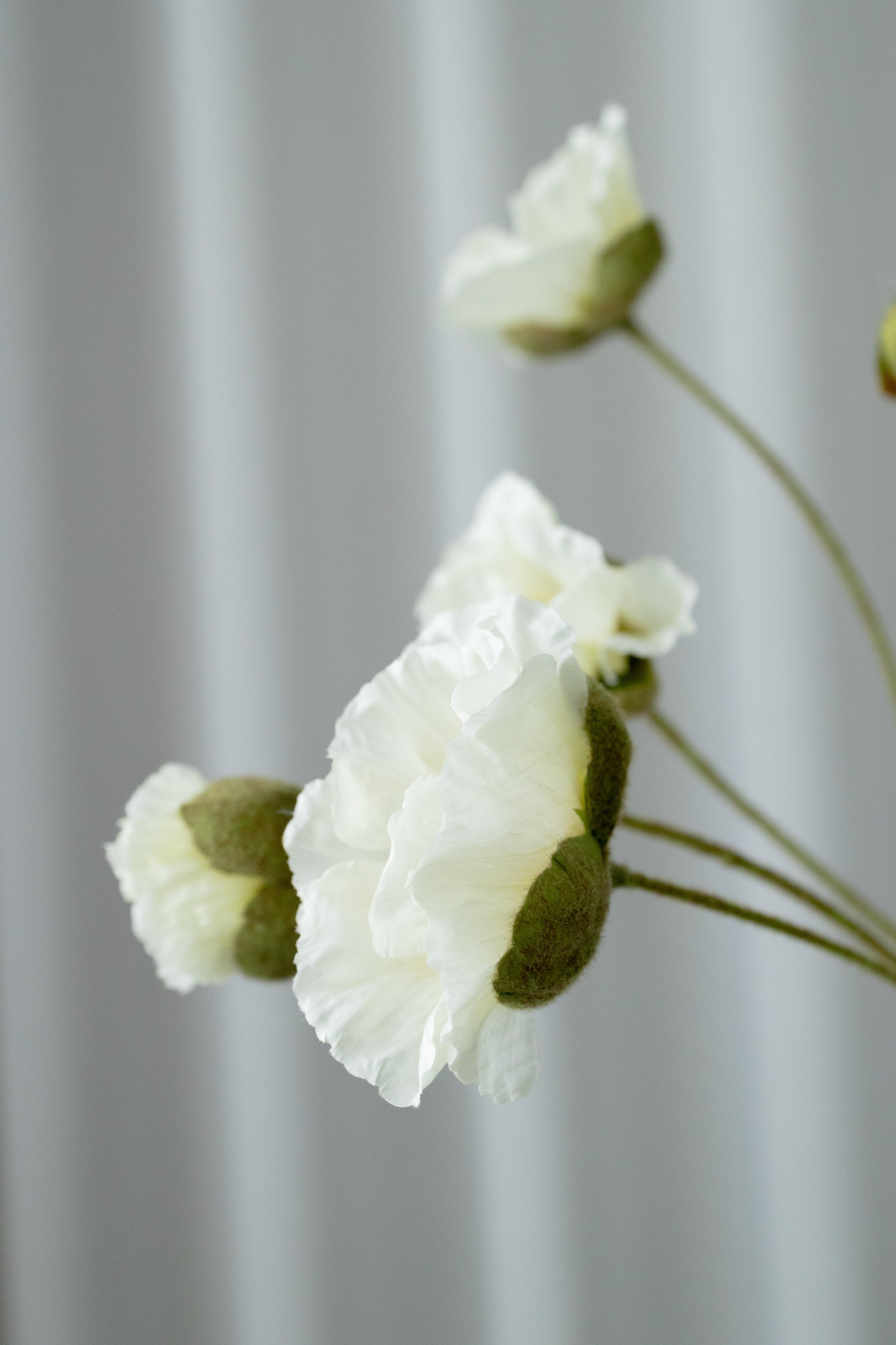 KUNSTIG NATURTRO VALMUE - NATUR HVID