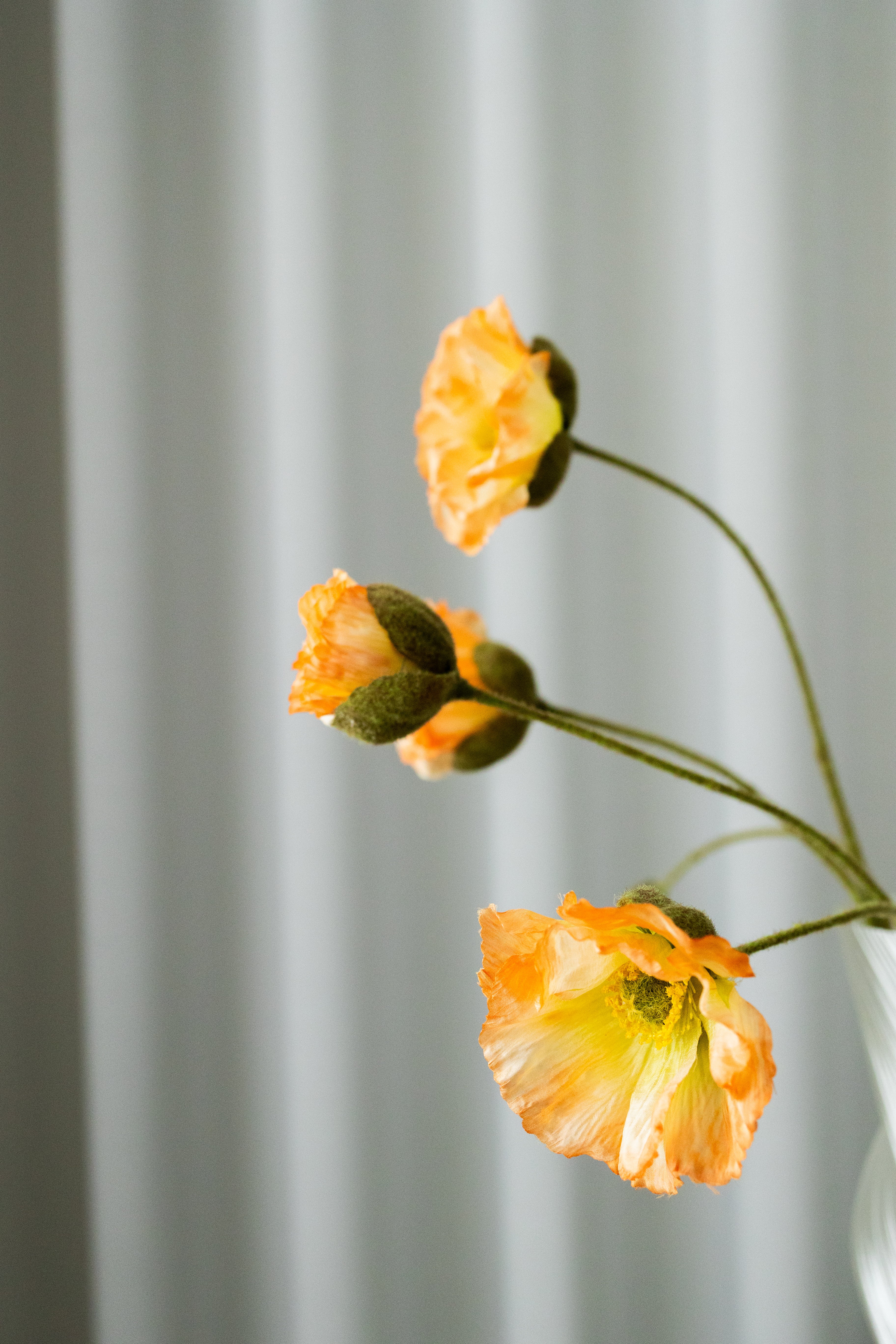 KUNSTIG NATURTRO VALMUE - NATURE PEACH