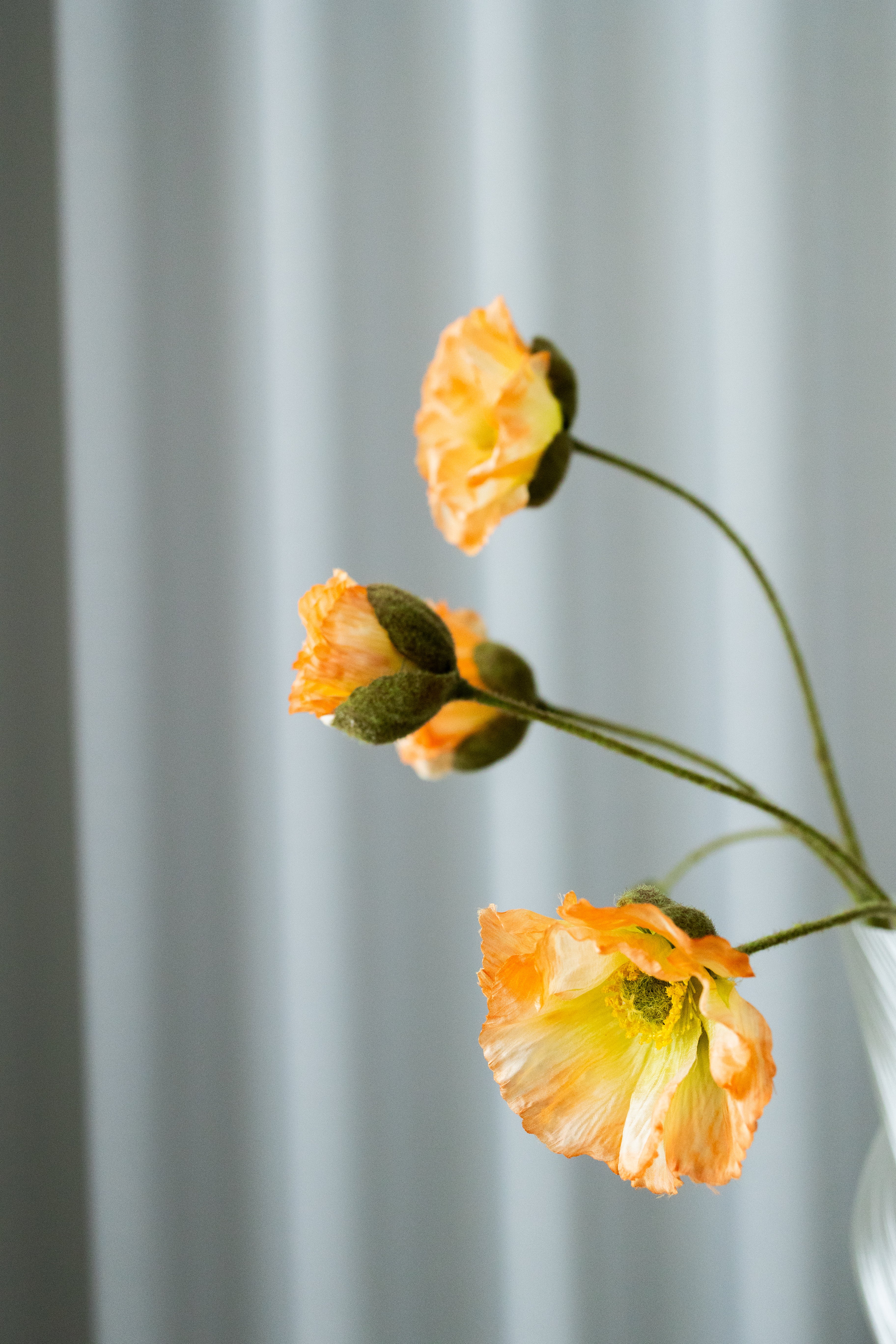 Artificial Lifelike Poppy - Nature Peach