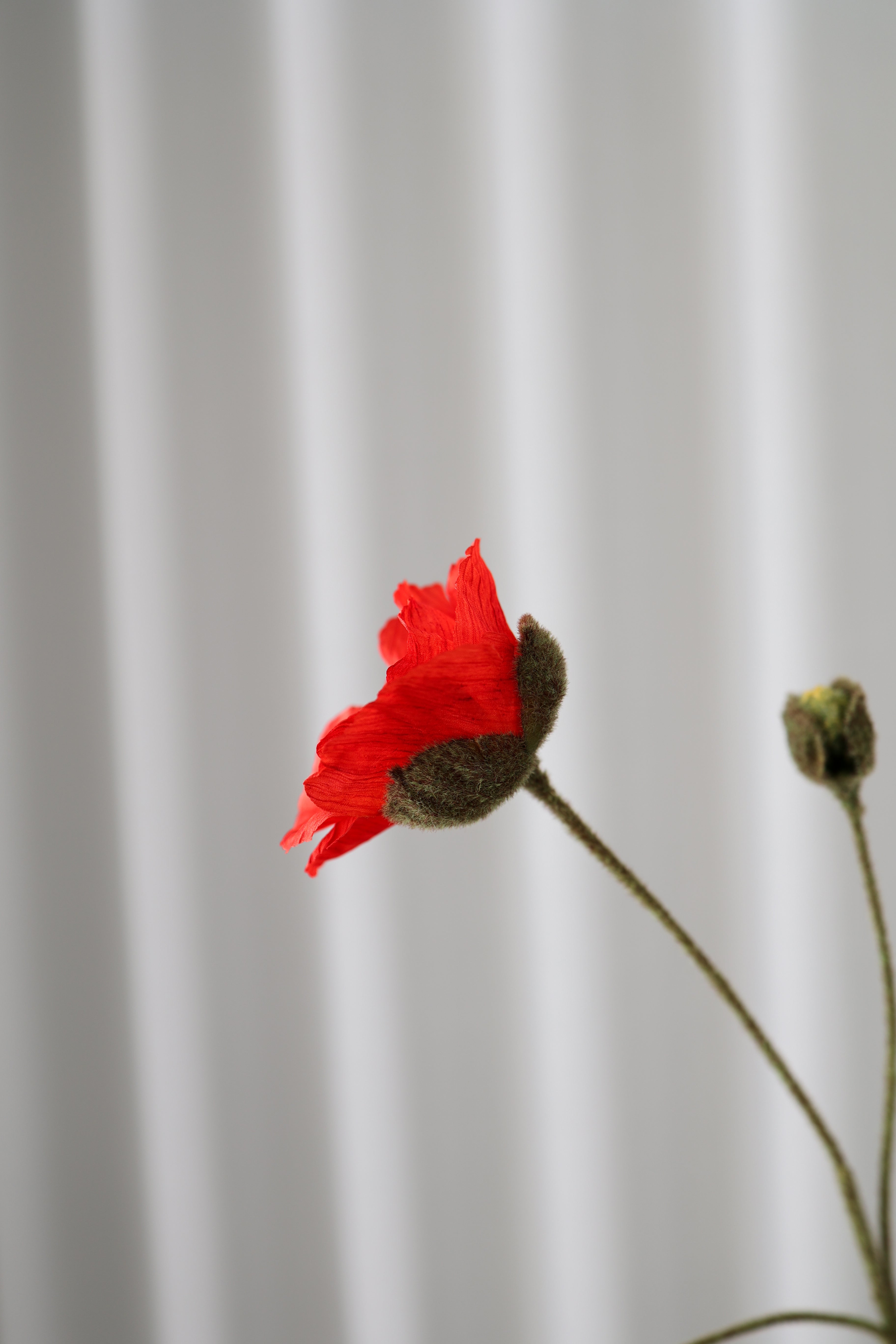 KUNSTIG NATURTRO VALMUE - NATUR RØD