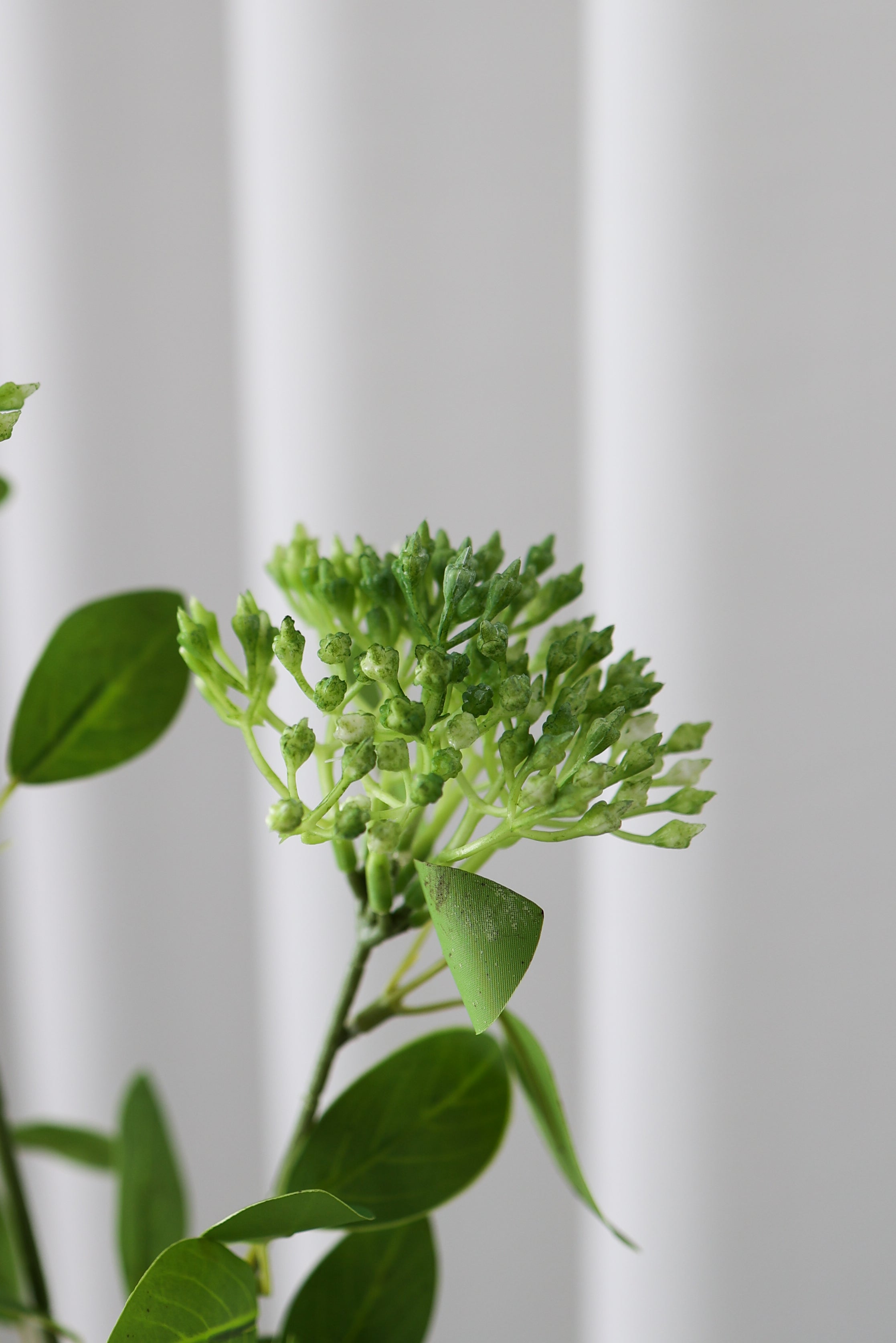 Kunstig Photinia - Grøn