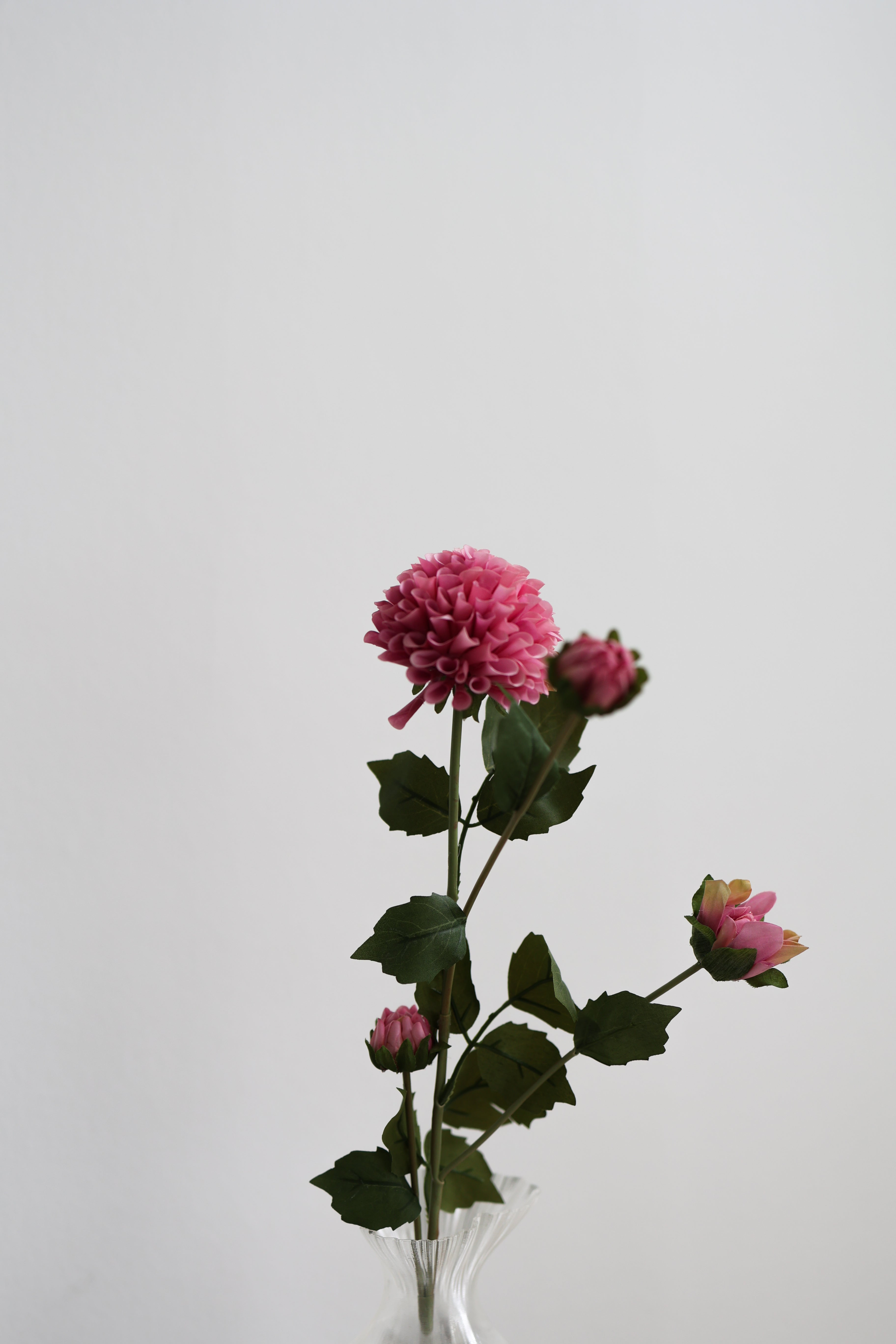 Artificial Dahlia - Pink