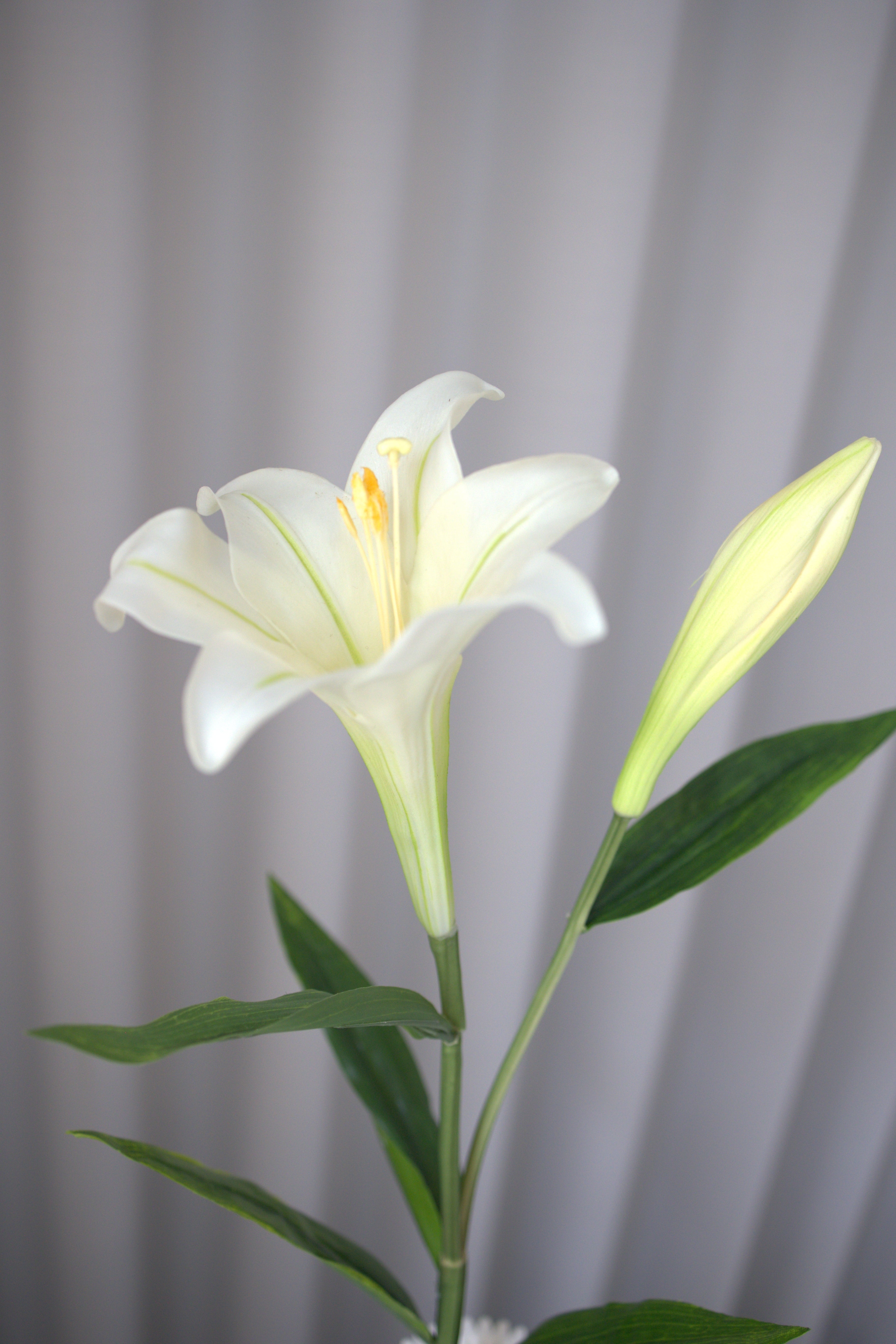 Artificial Lifelike Lily - White