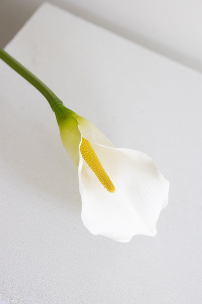 Products – BLOOM OBJECTS