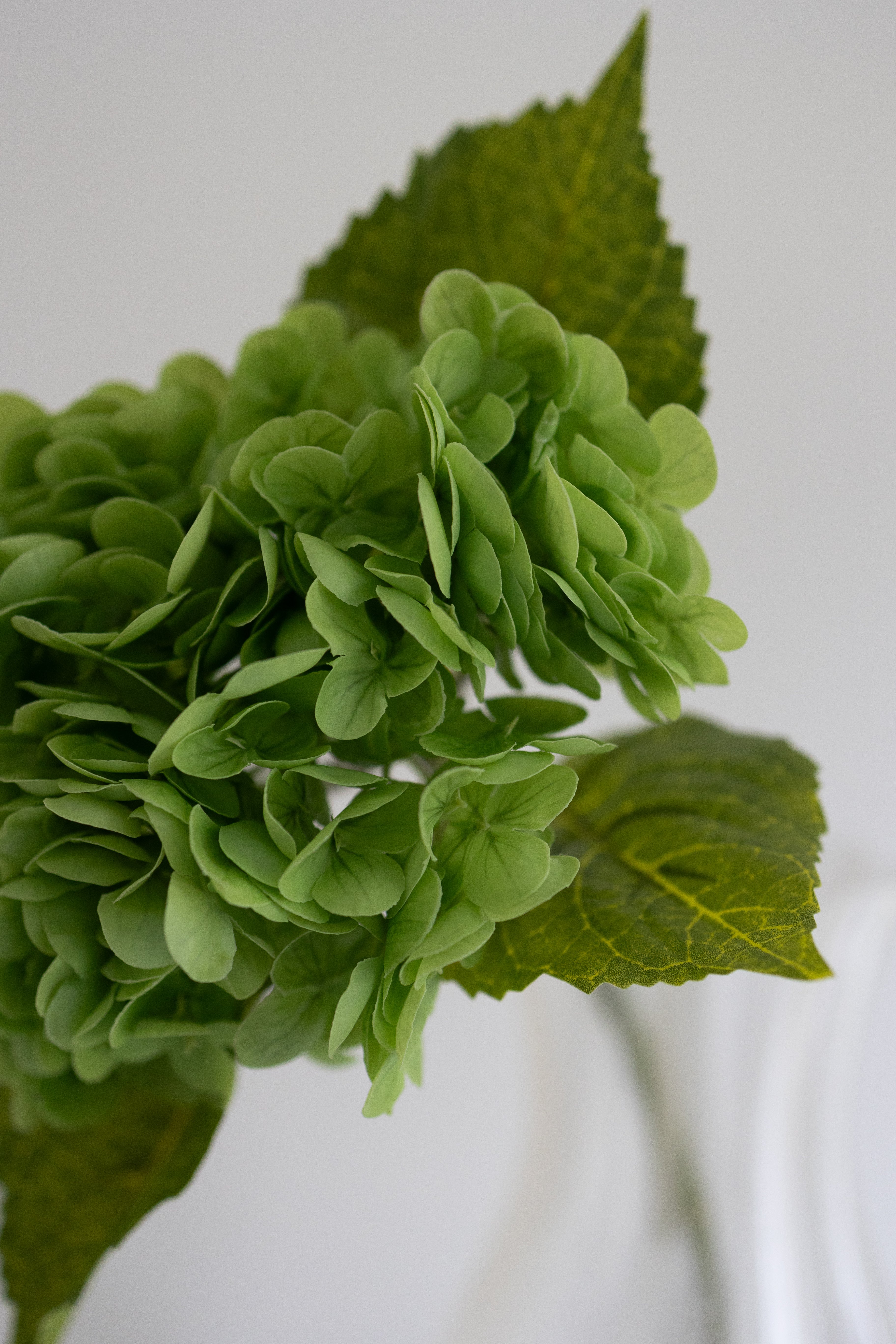 Artificial Hydrangea Green | Stunning Green Floral Decor | Bloom