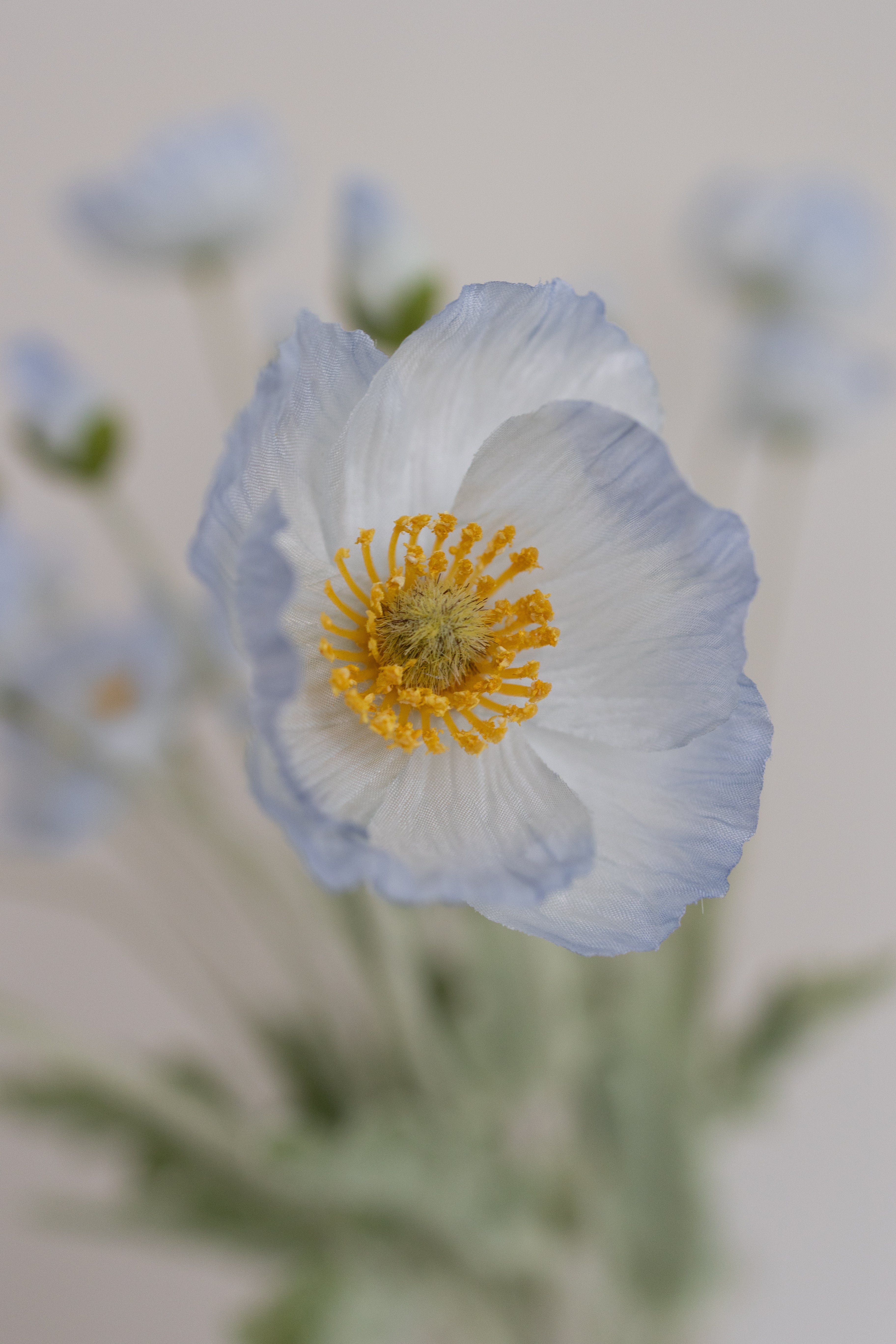 Light Blue Poppy Bouquet