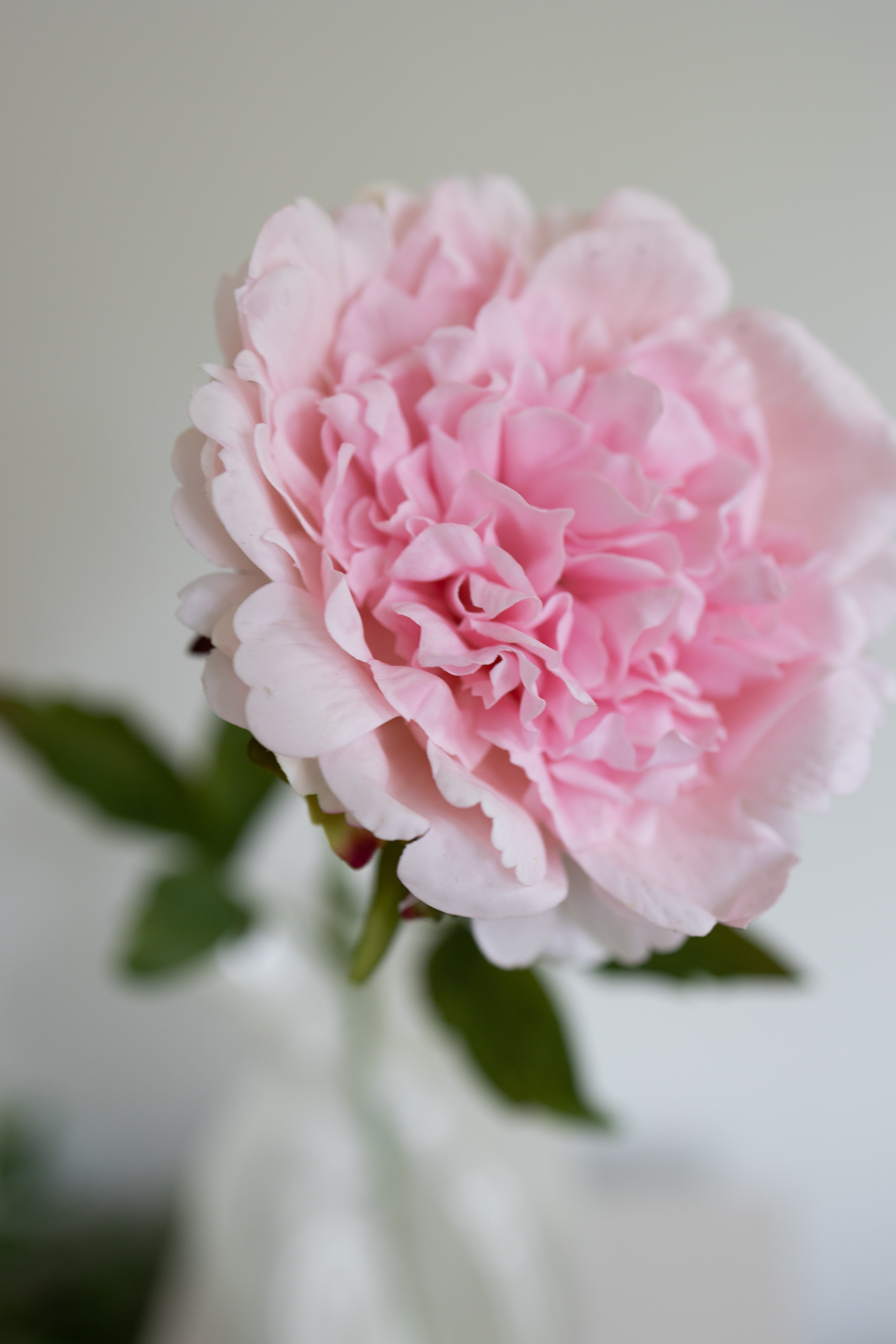 Artificial Peony - Light Rose