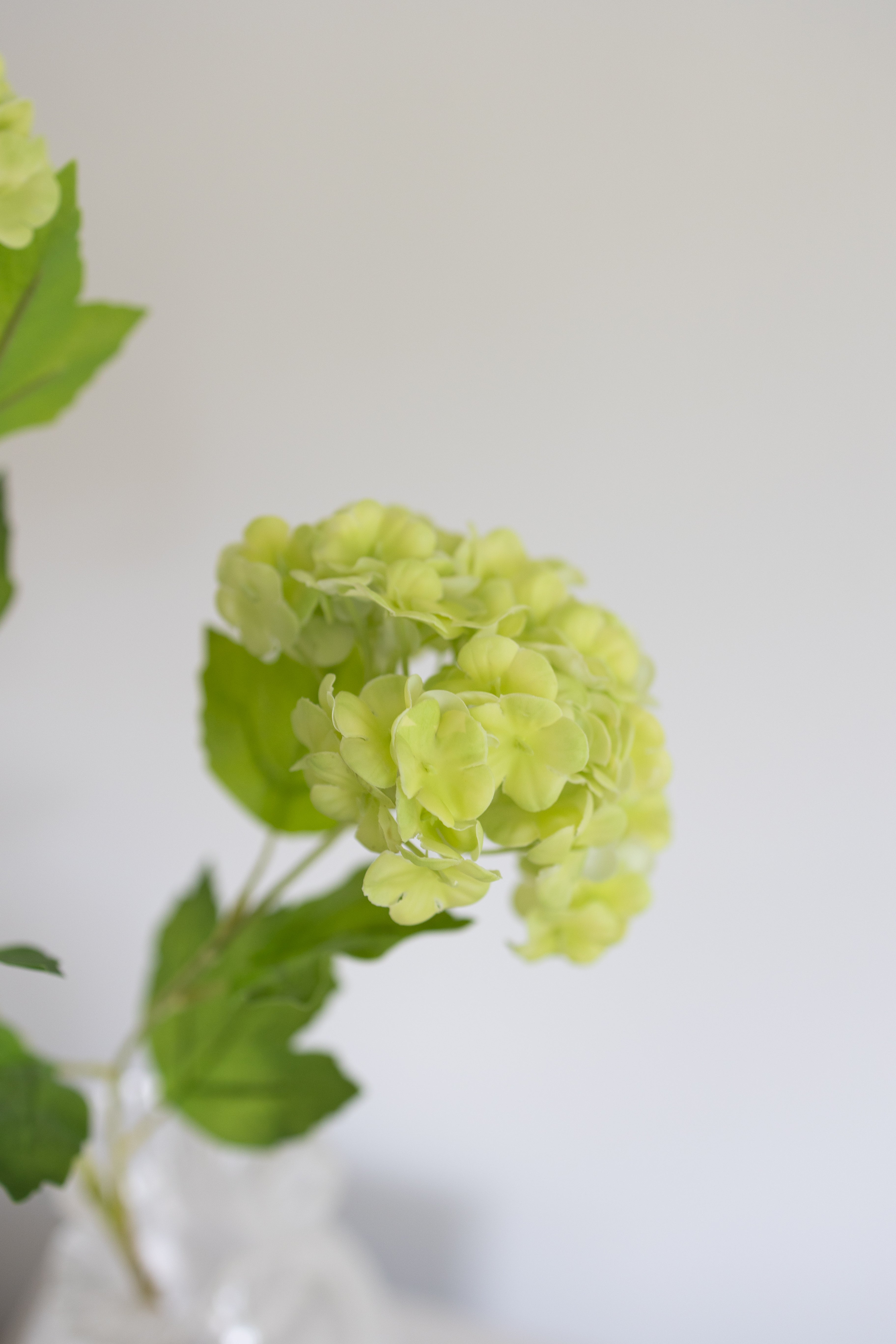Artificial Snowball Hydrangea - Light Green