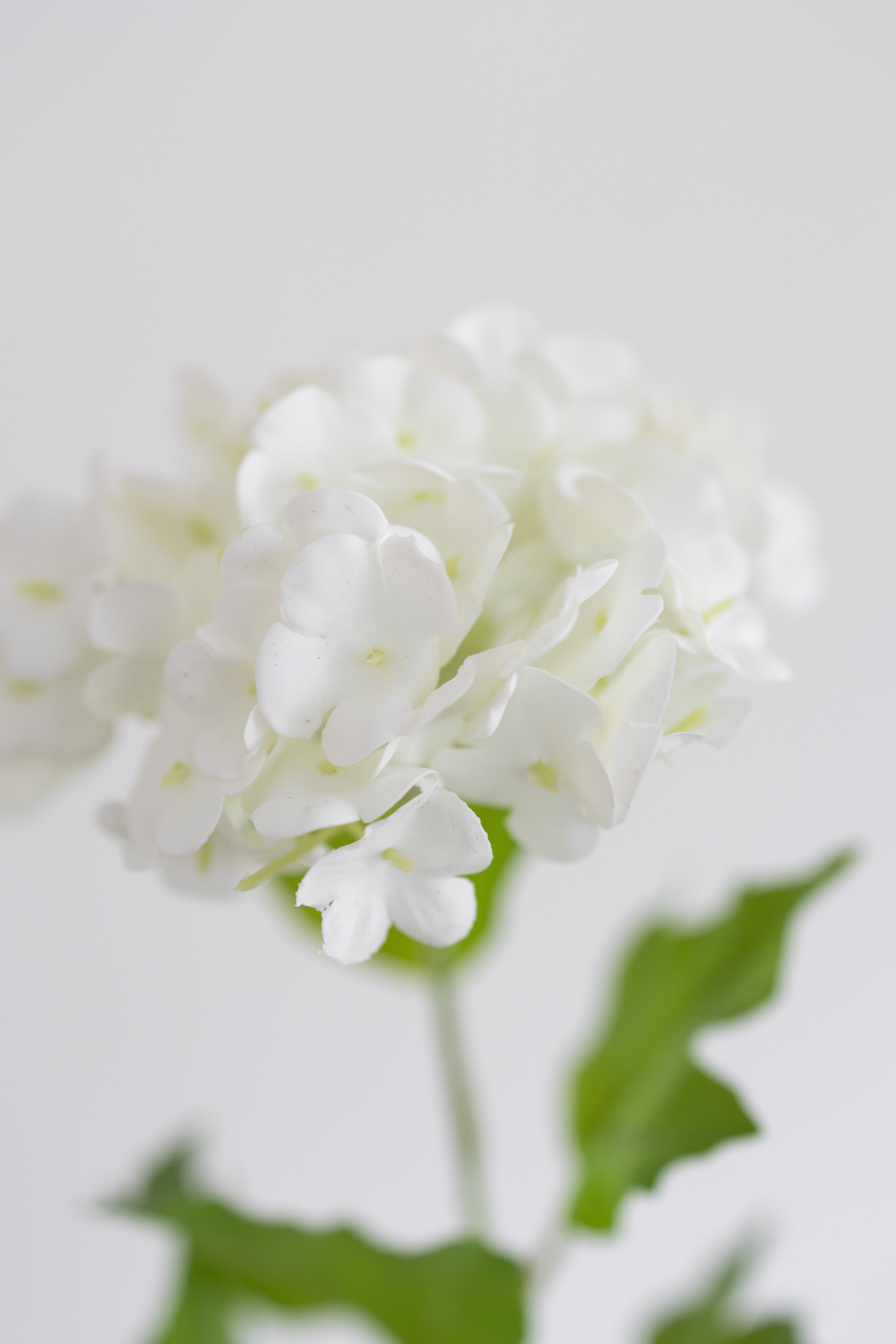 Artificial Snowball Hydrangea - White