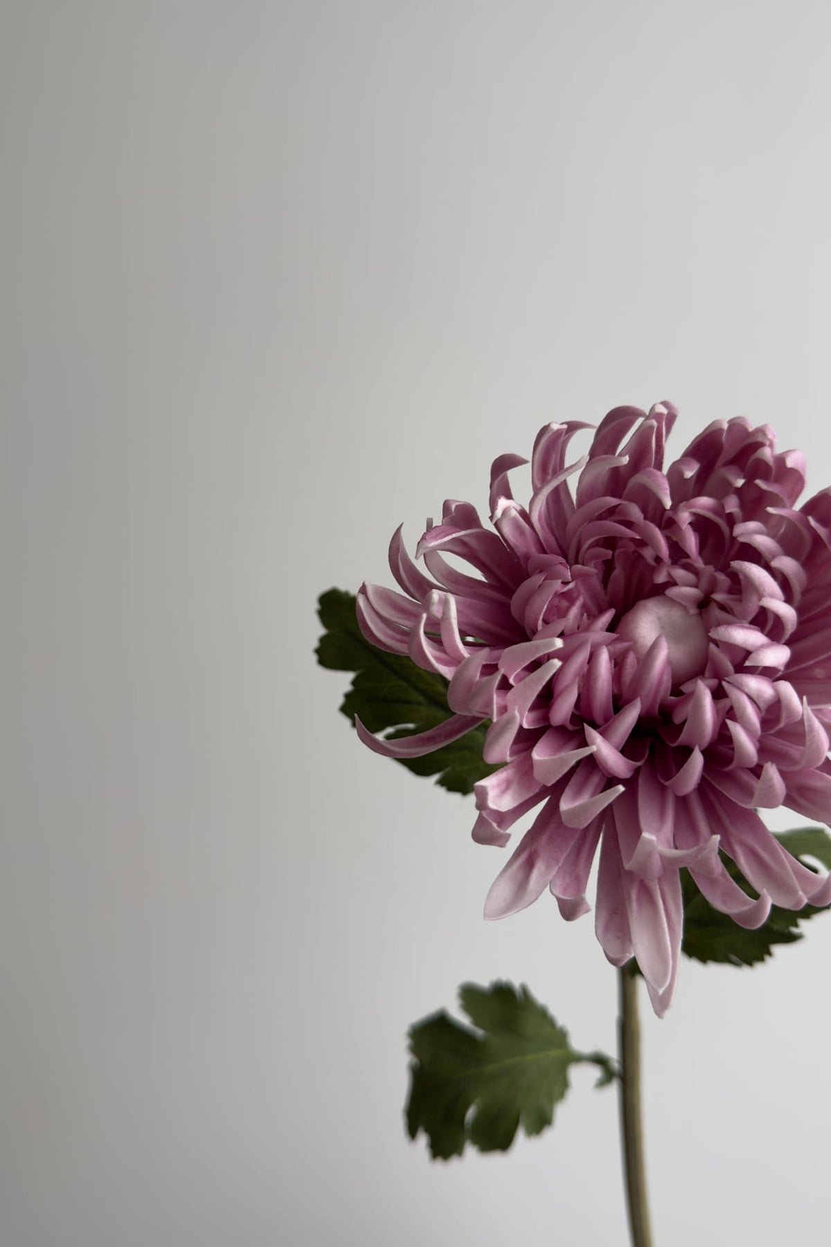 Artificial Cactus Dahlia Purple