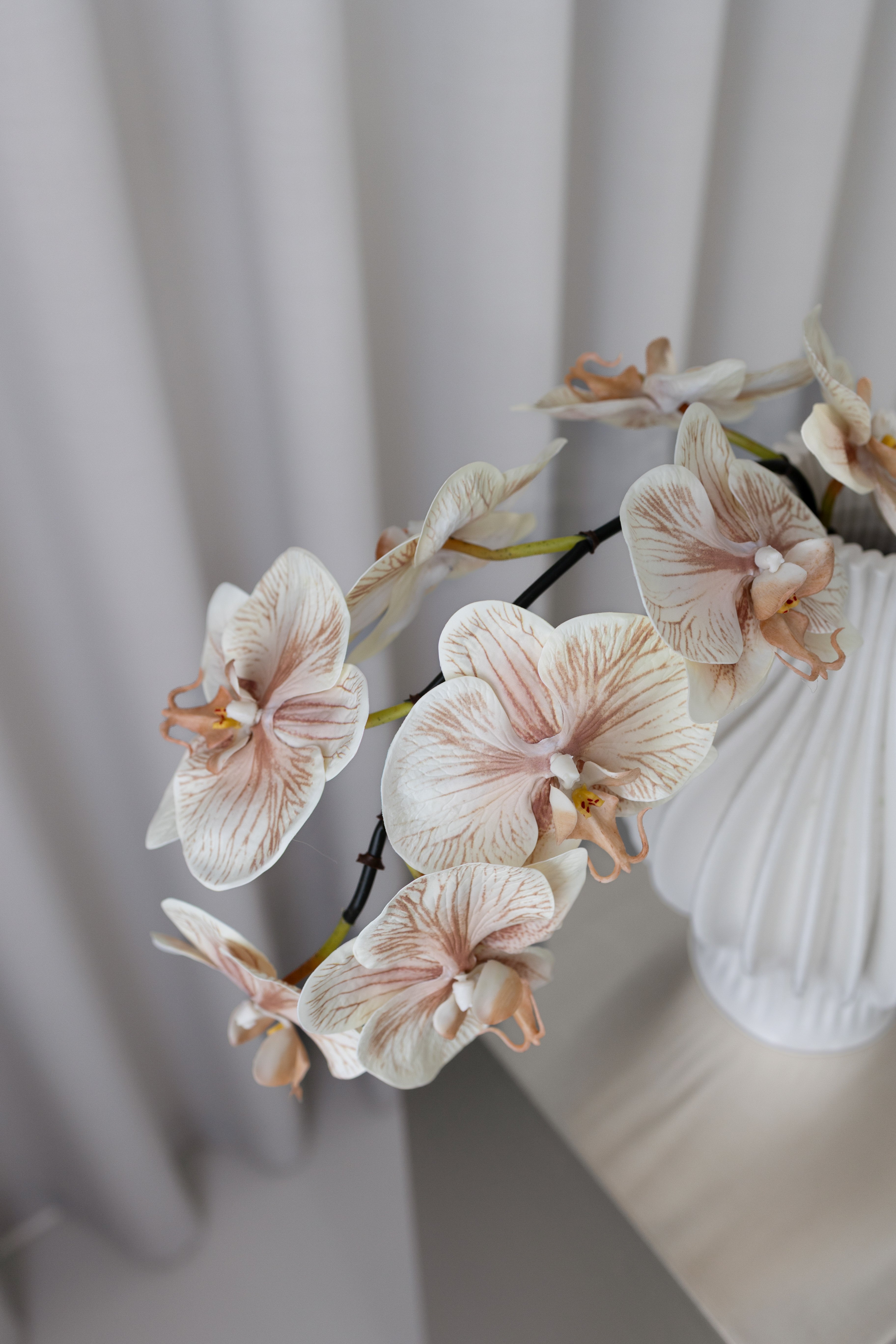 Artificial Beige Orchide