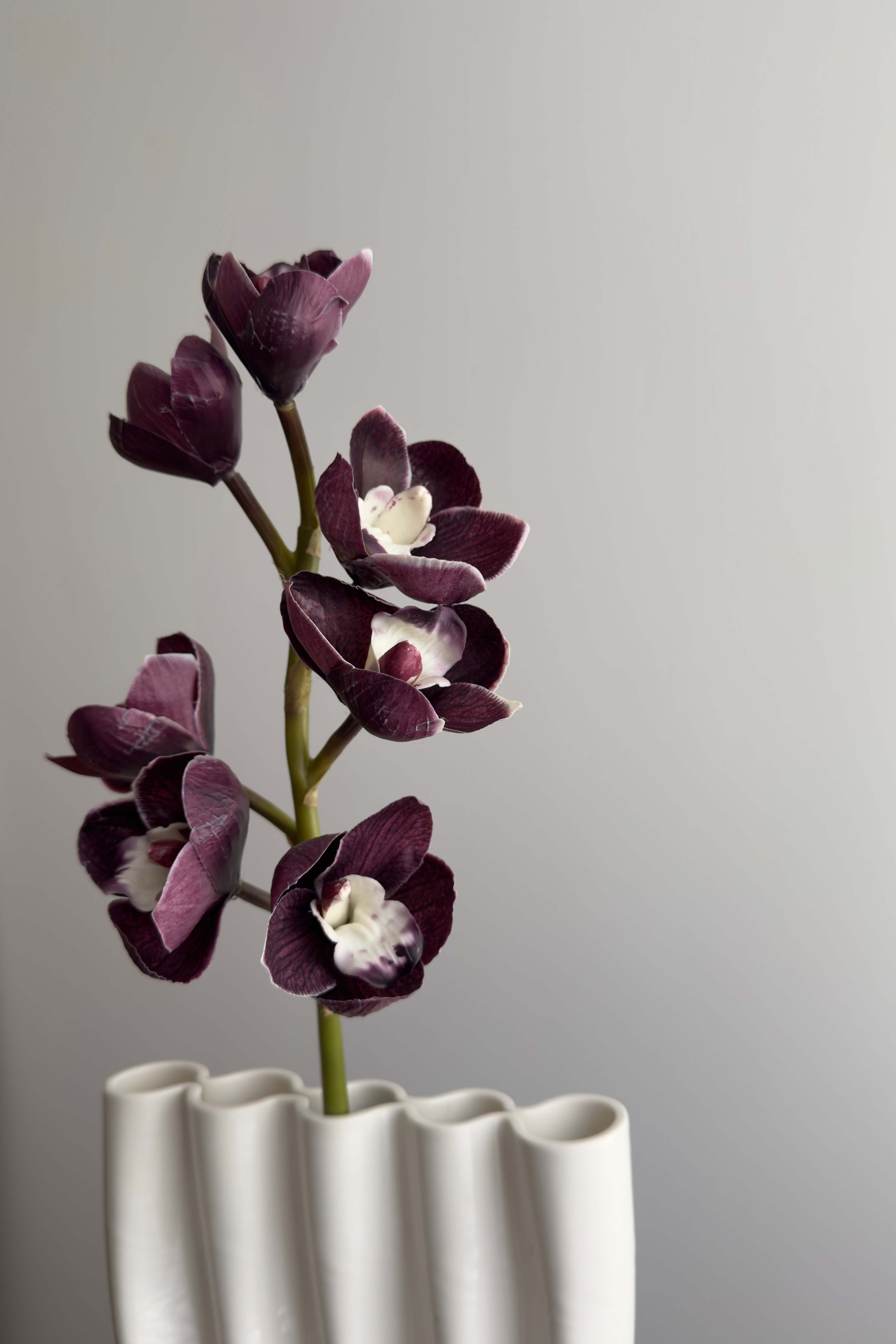Kunstig Naturtro Cymbidium 7 hovedet - Mørke Lilla