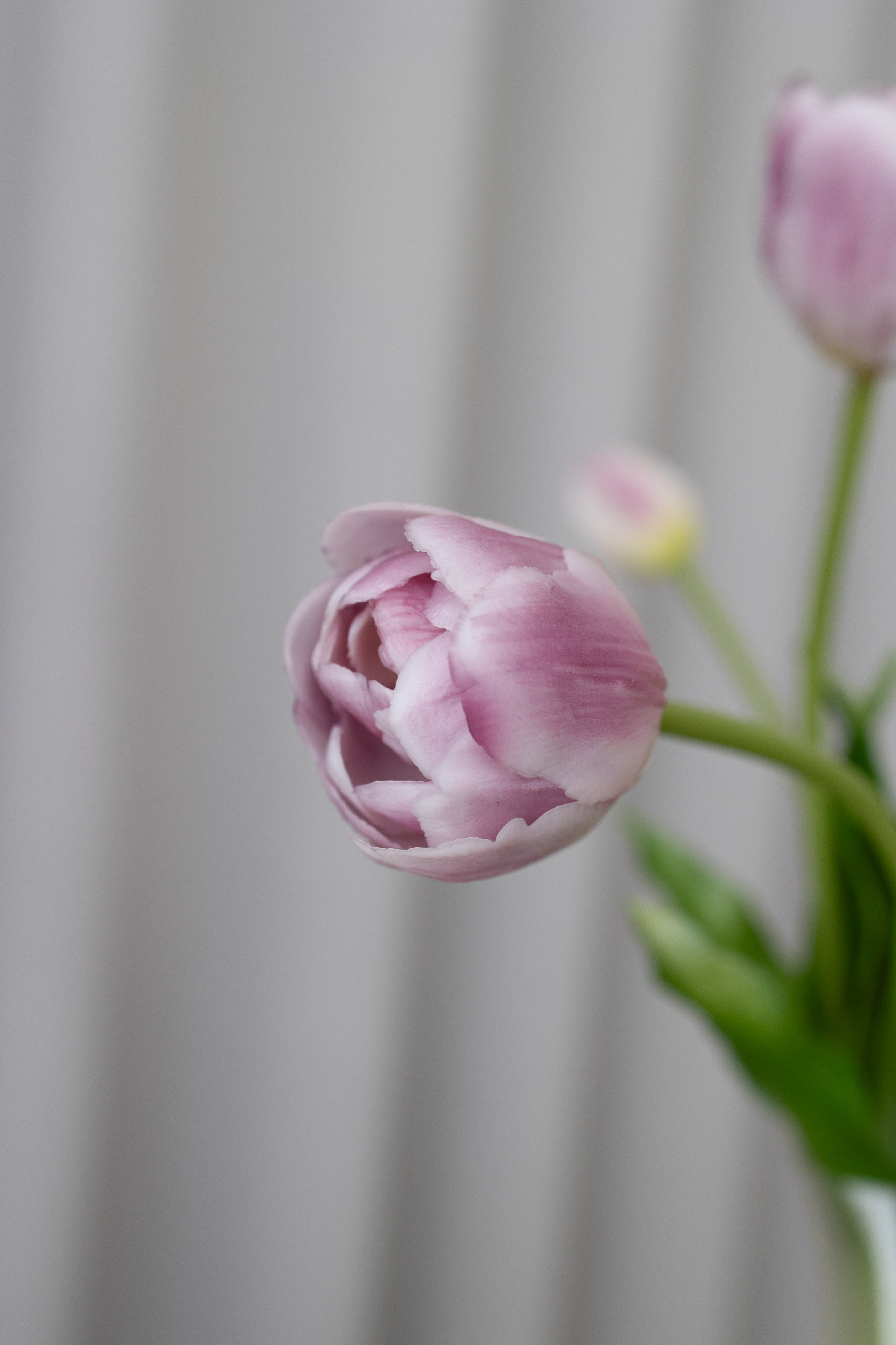 Artificial Layered Tulips - Purple