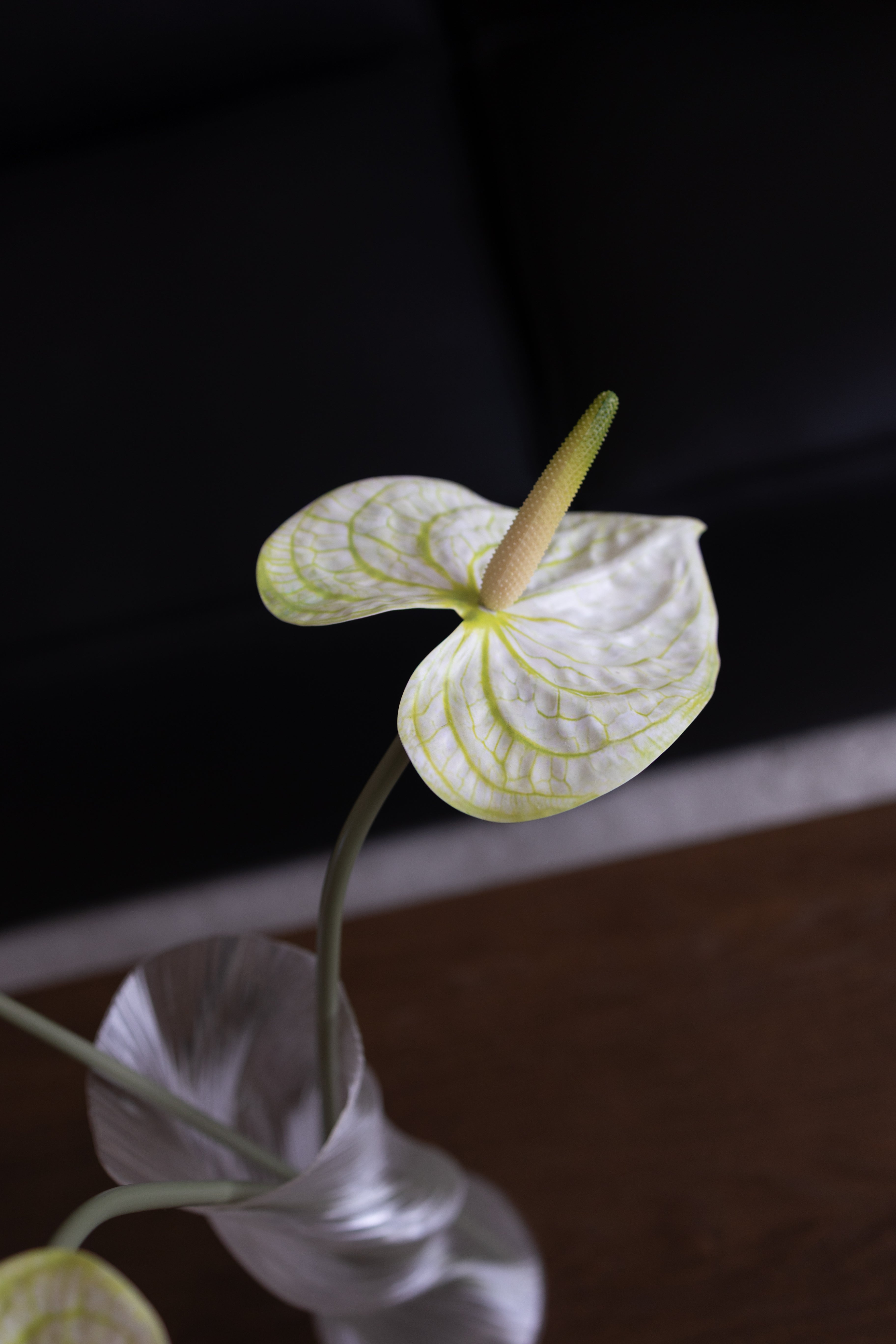 Kunstig Naturtro Anthurium