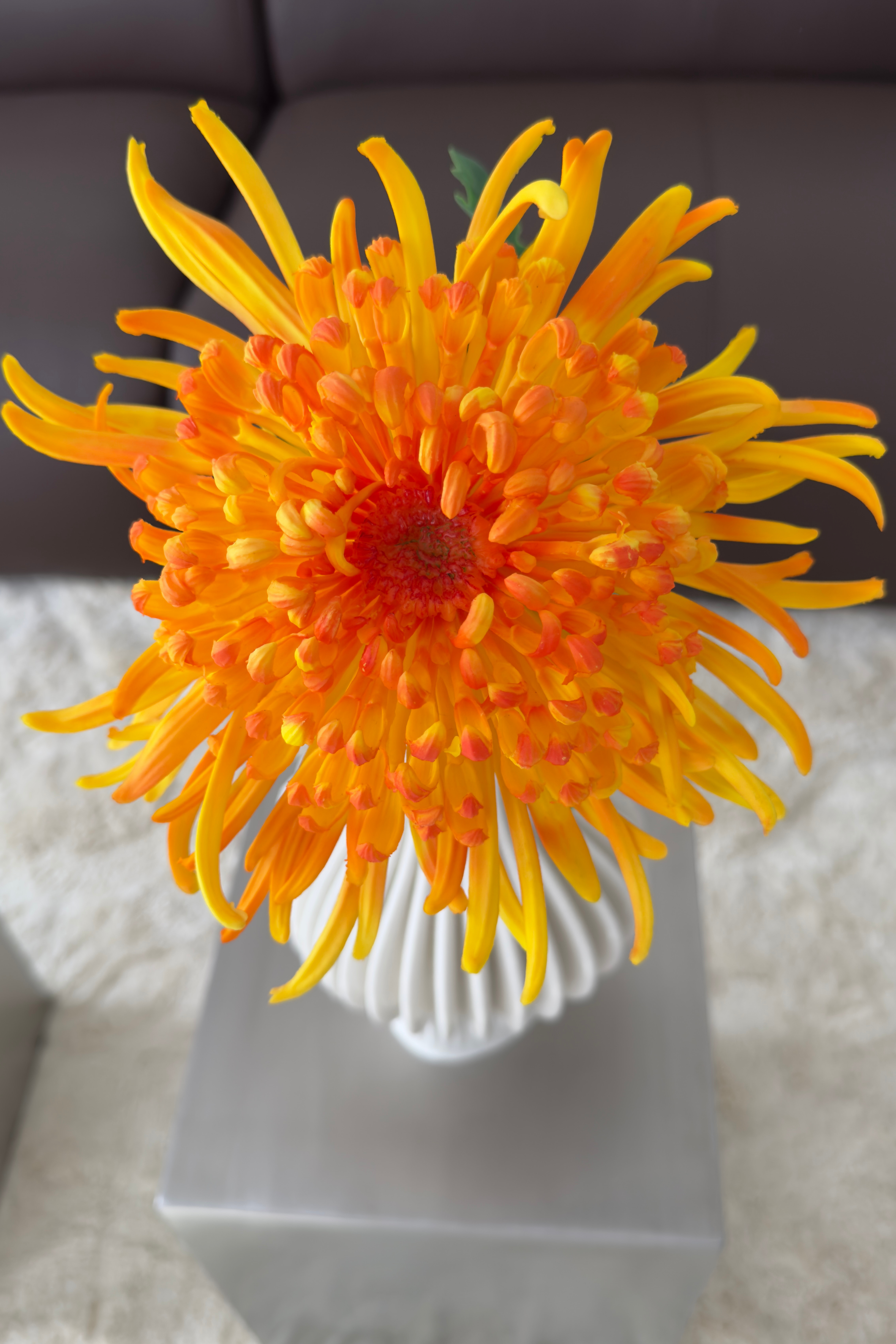 Kunstige Naturtro Krysantemum - Orange 
