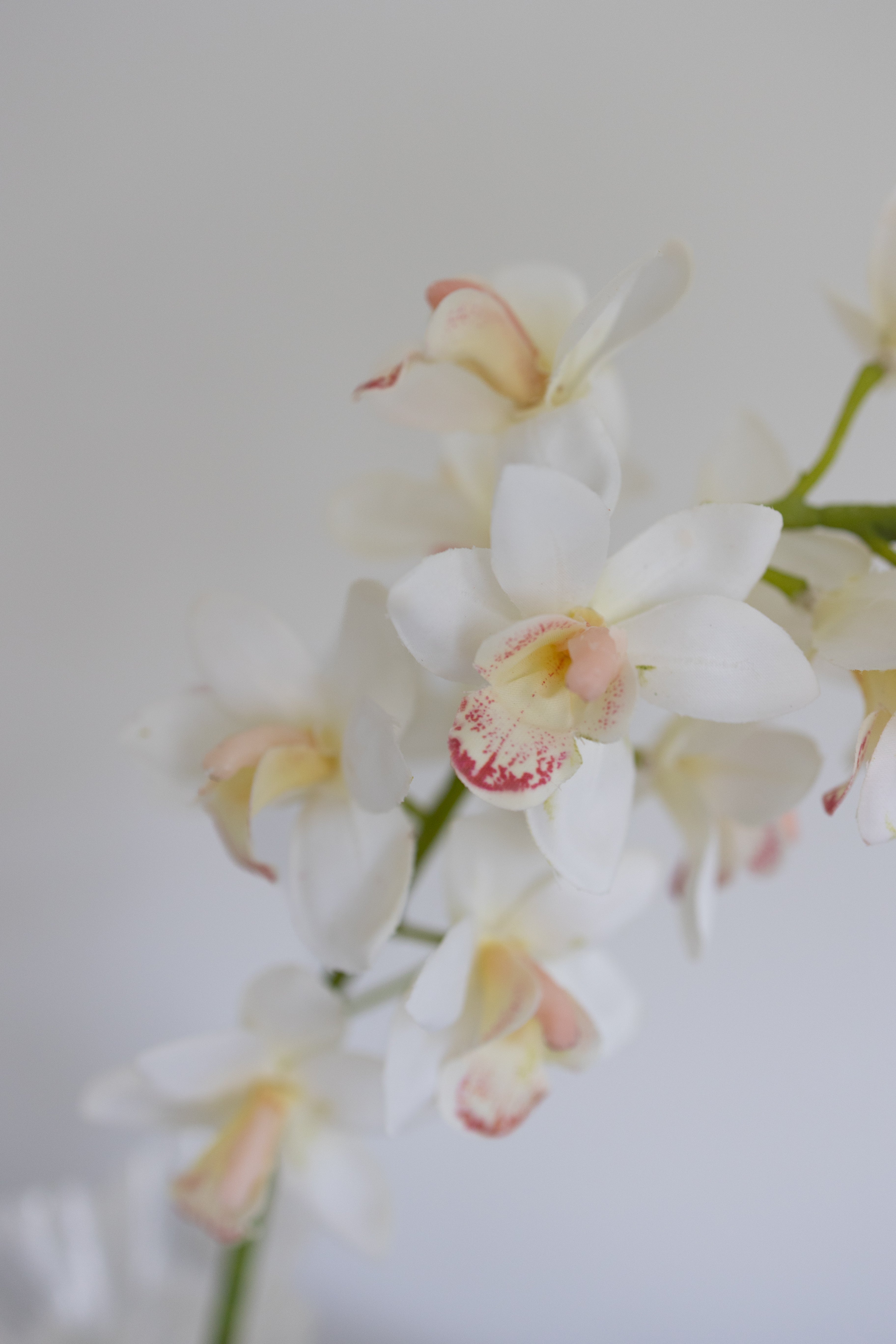 Artificial Small Cymbidium - White