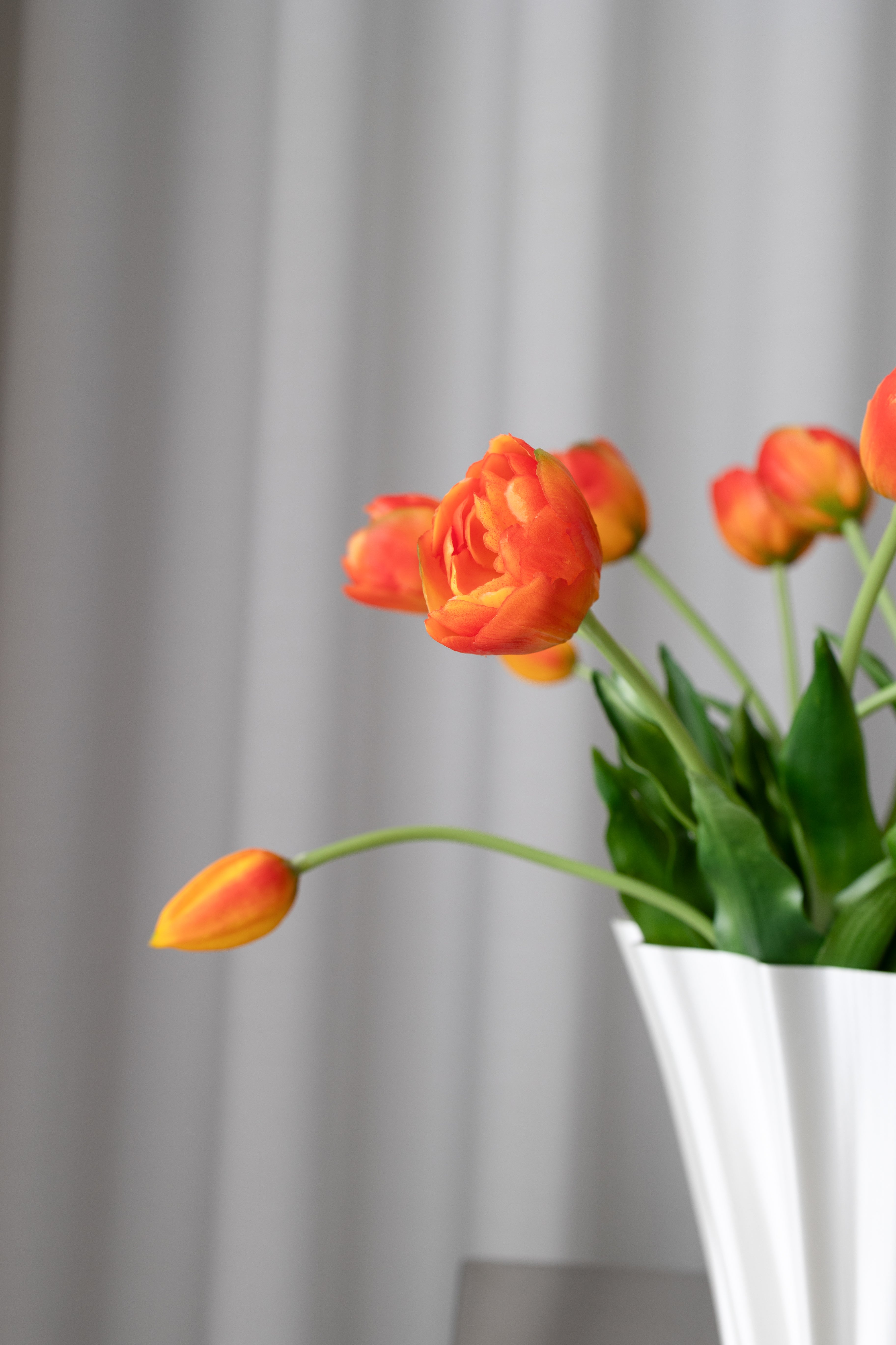 Orange Tulip Bouquet - 3 Bundles