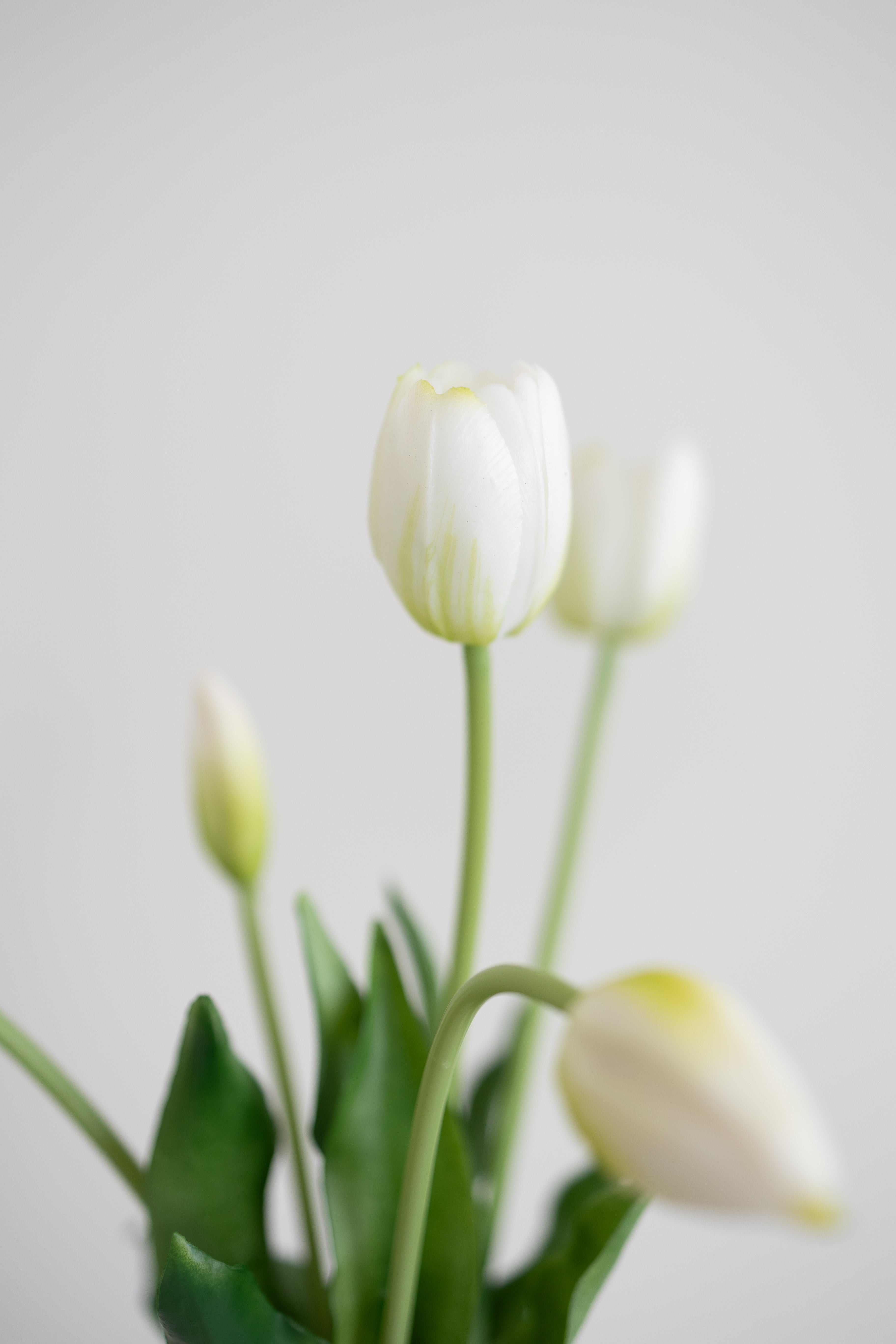 Artificial Single Tulips - White