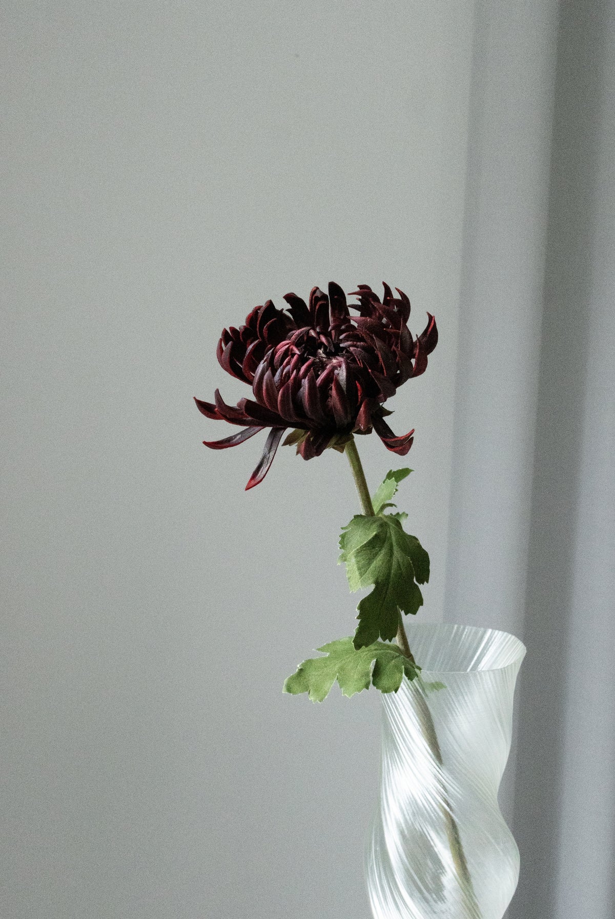  Kunstig Kaktus Dahlia – Bordeaux 