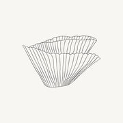 Bloom Objects logo